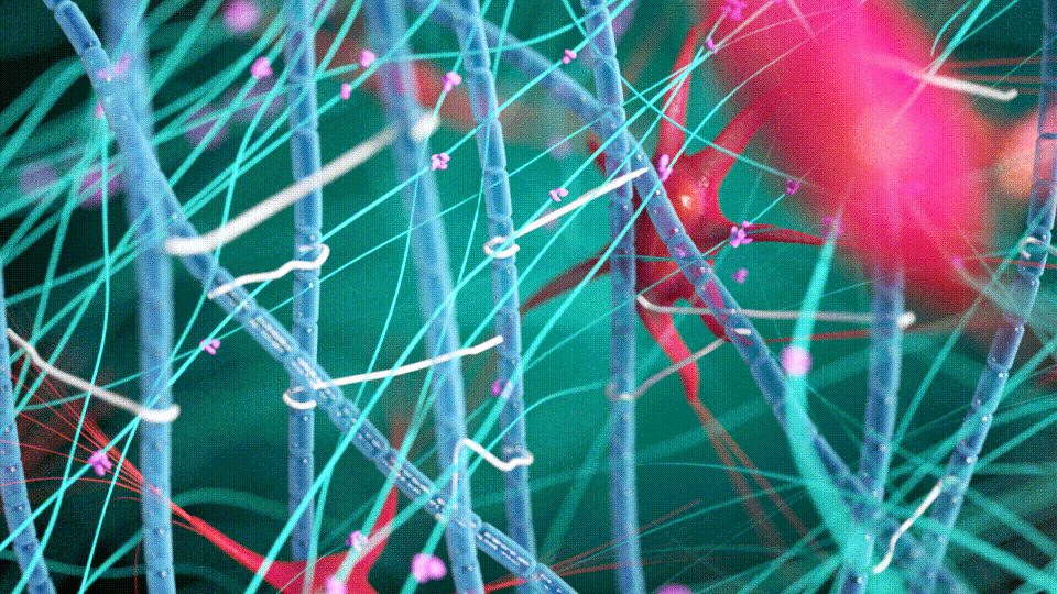 Gif-Remo.gif