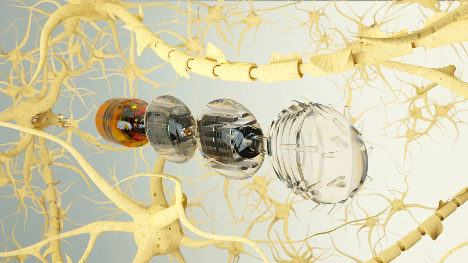 ML-Deck-Mirob-Neurons_016-Final-1500.jpg