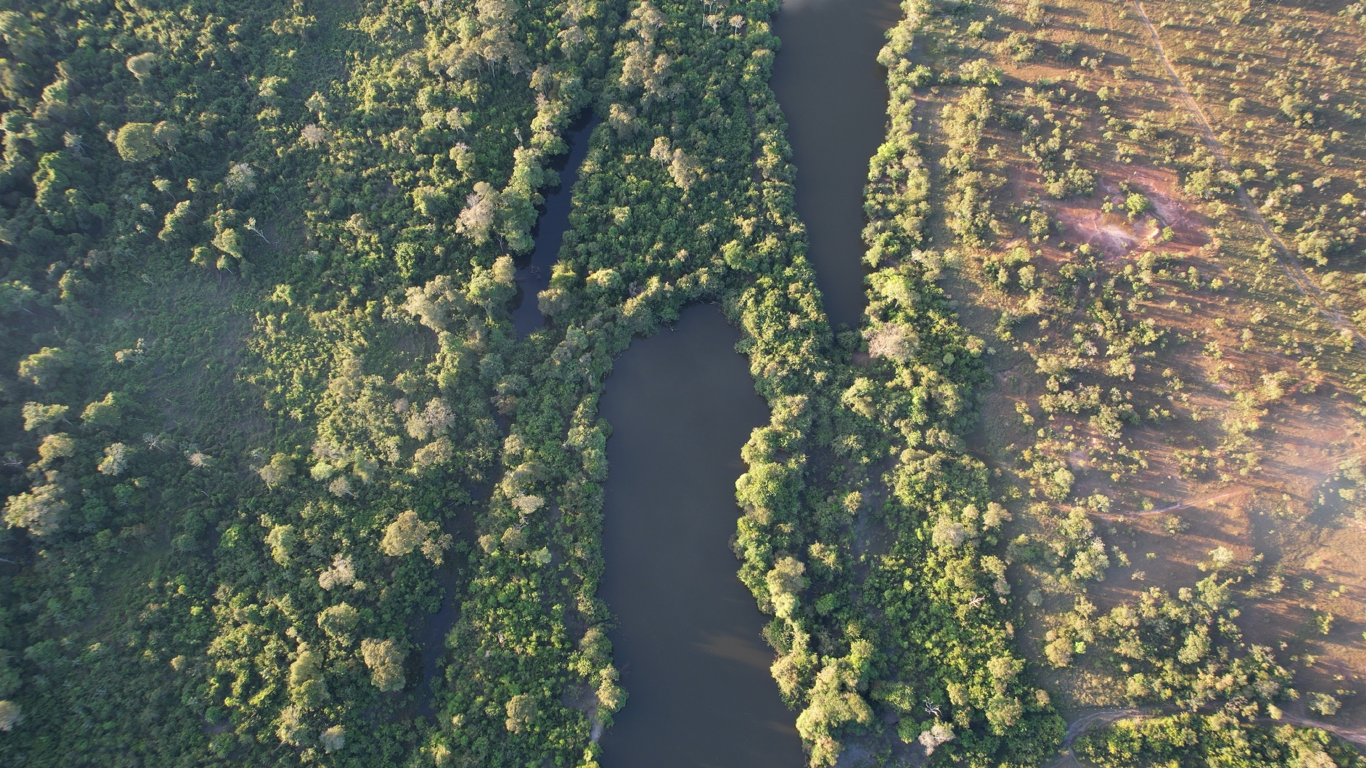 Ecotono Drone.png