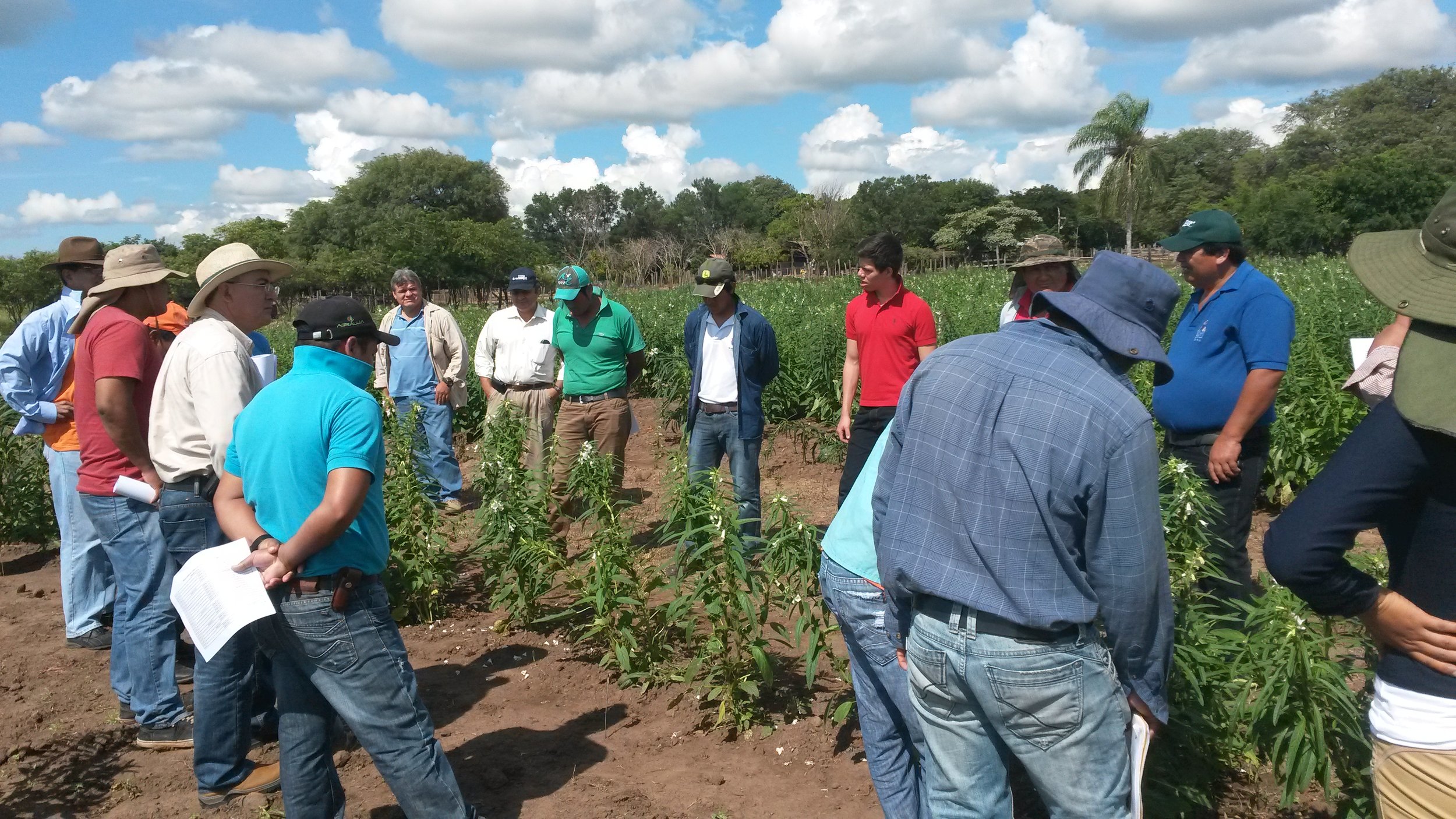 Capacity building in the farm land