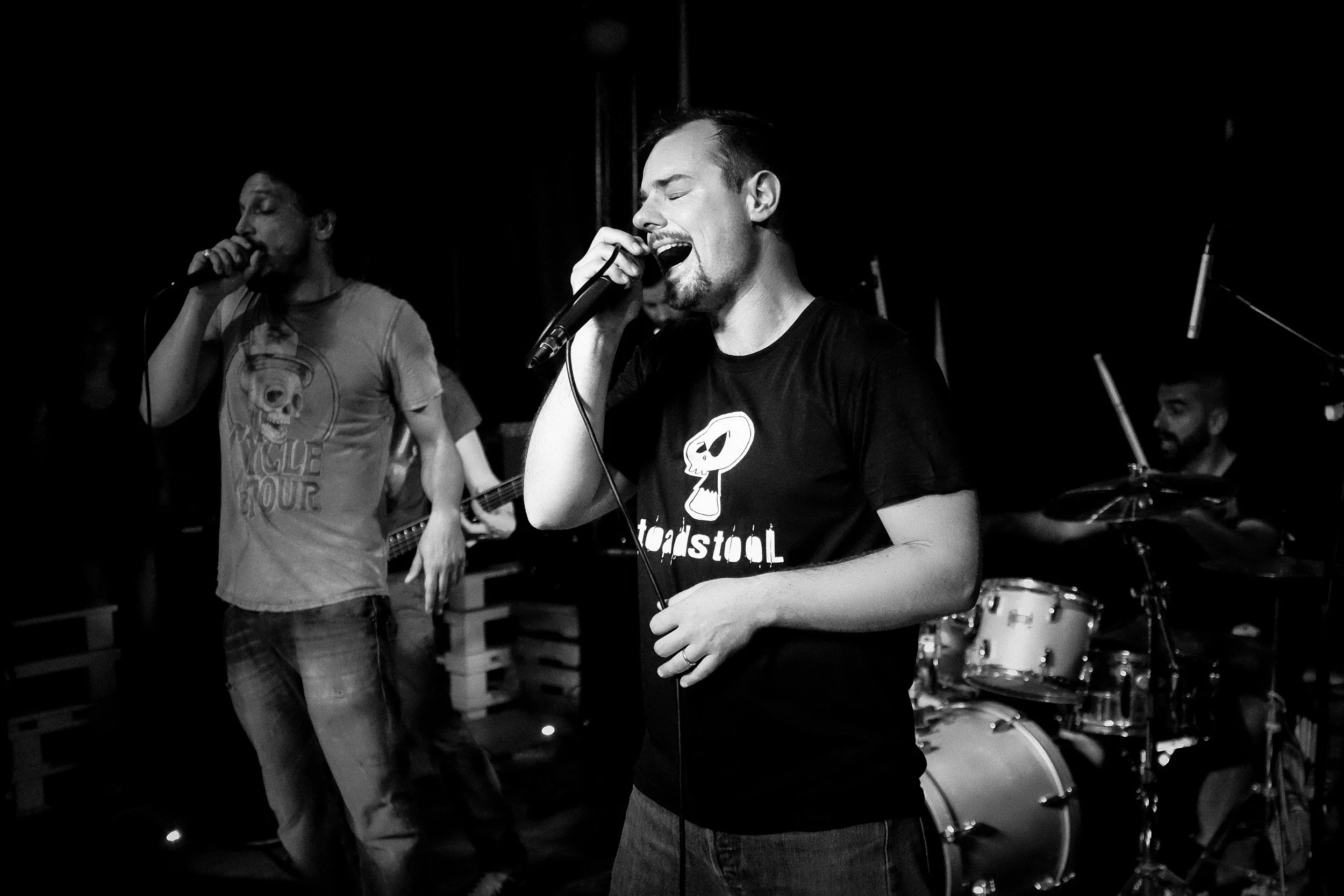 Toadstool Reunion @ Liggia Pub