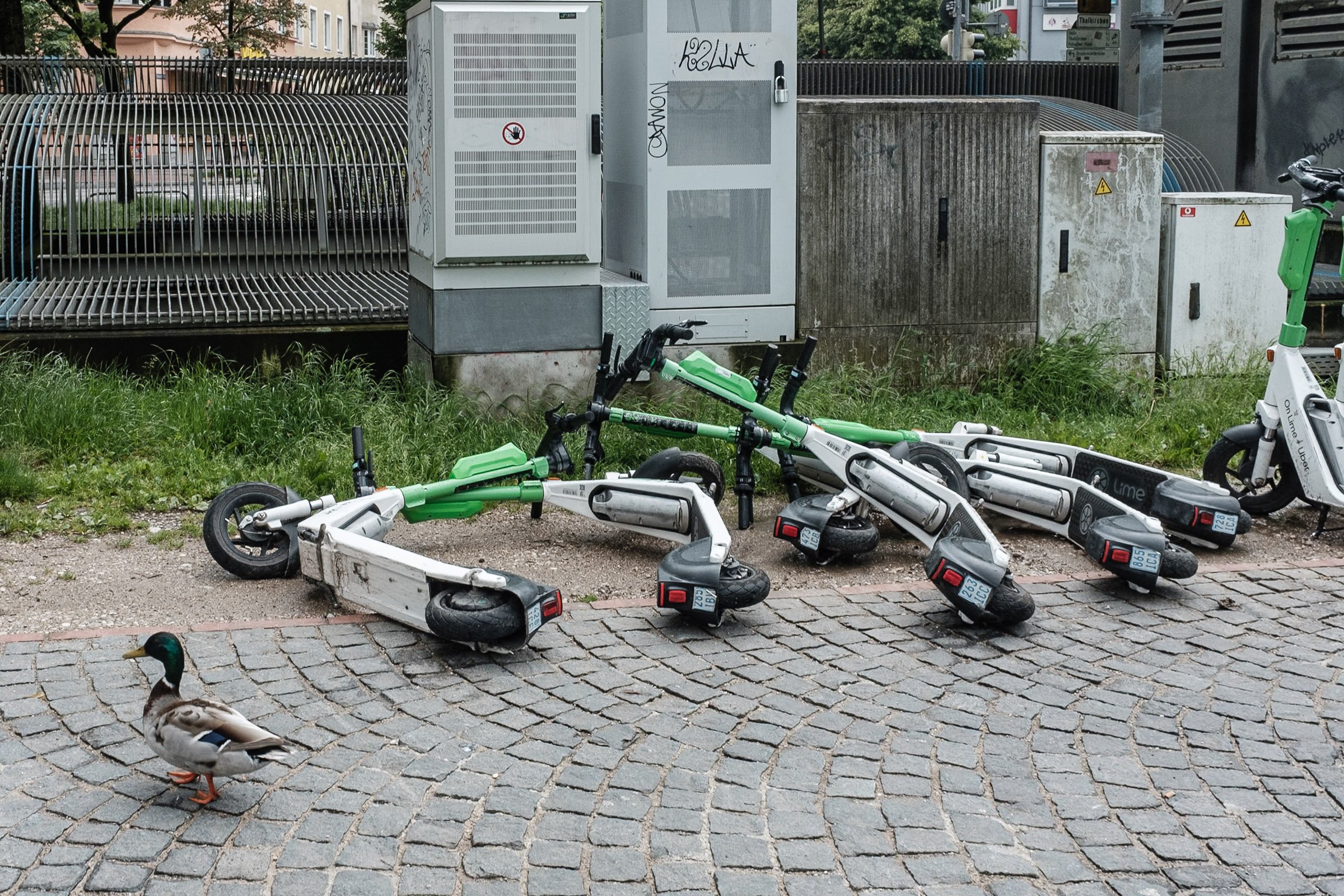 Martin_Liebl_Street_XHF2636.jpg