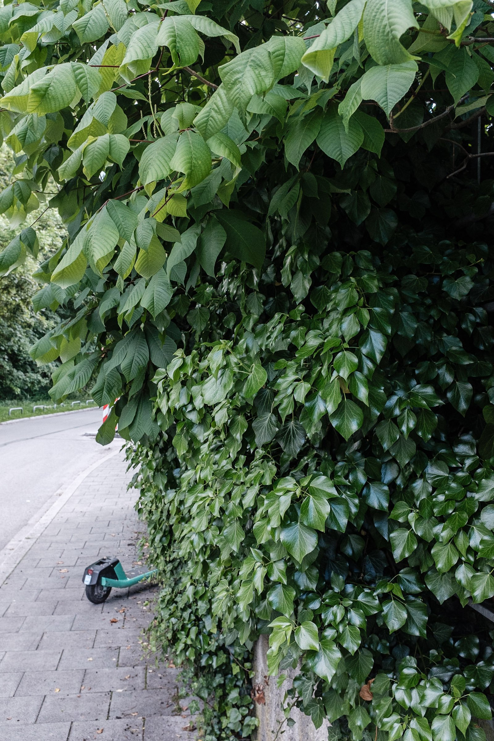 Martin_Liebl_Street_XHF2542.jpg