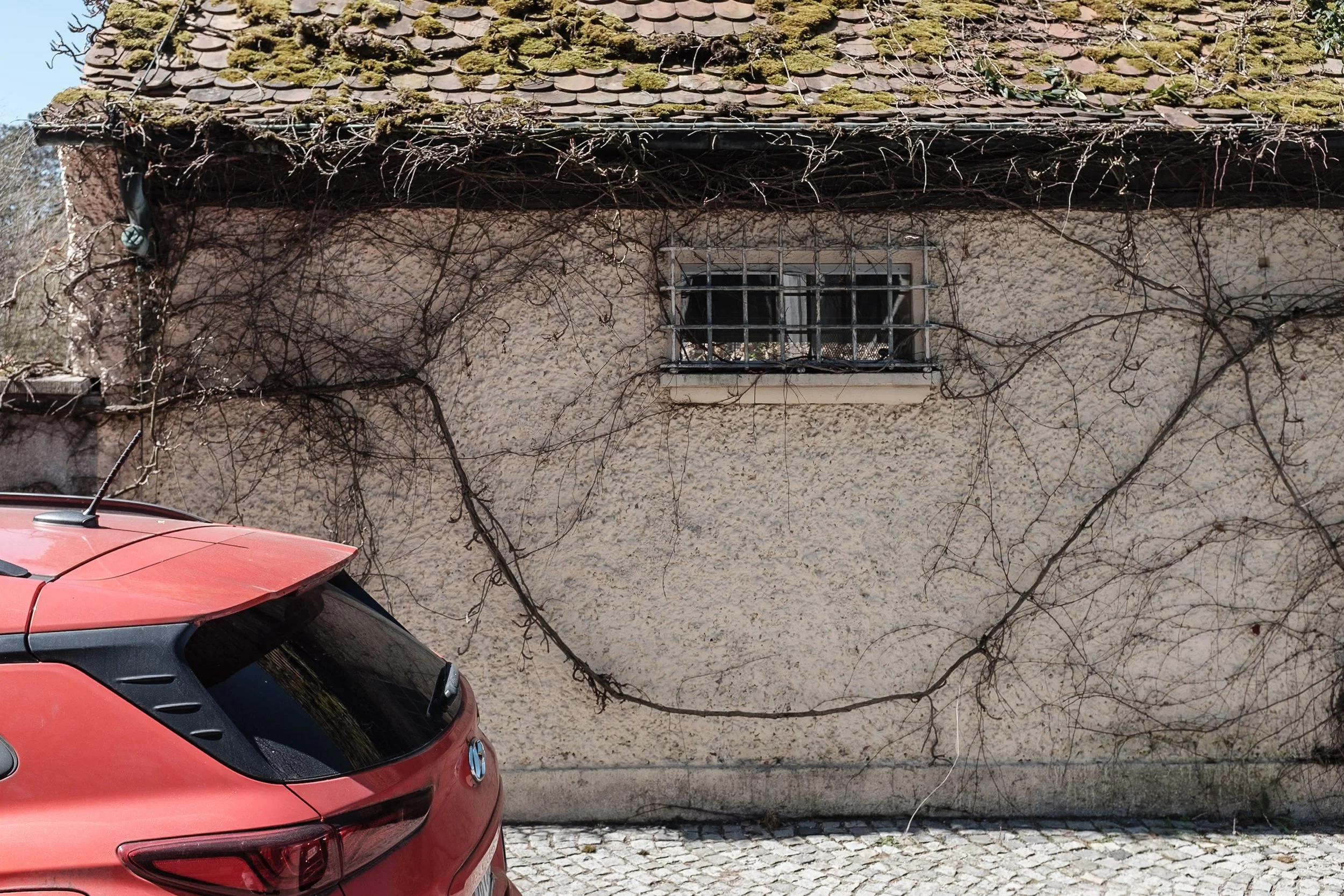 Martin_Liebl_Street_XHF0023.jpg