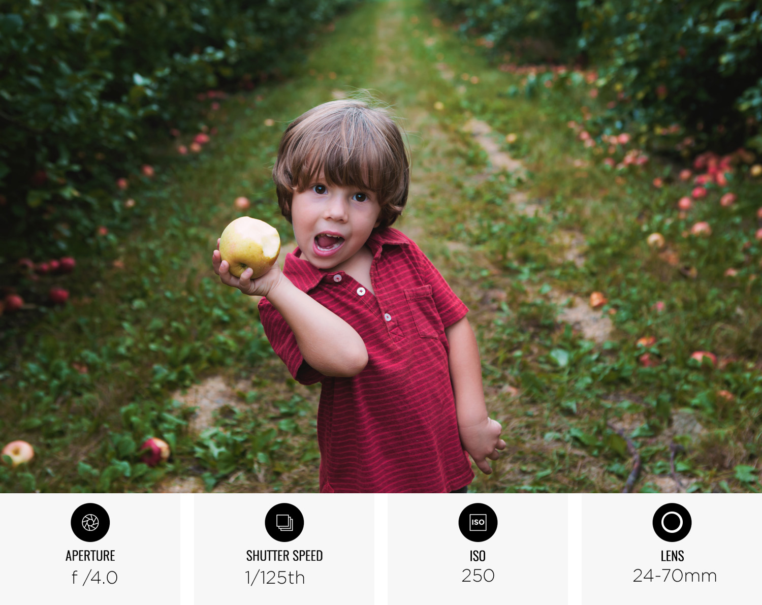 7 : MANUAL MODE