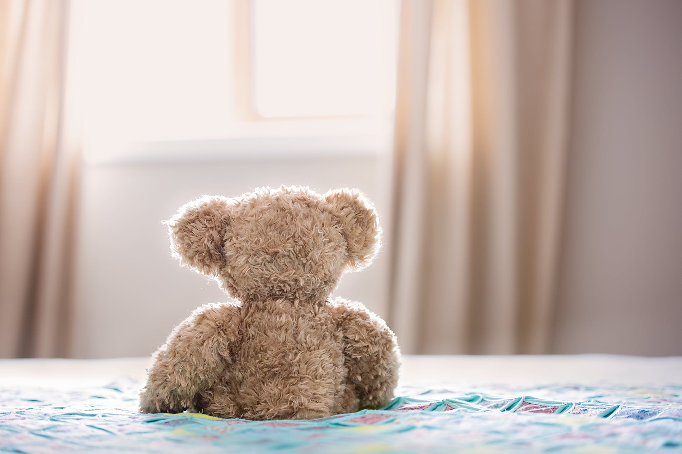 teddy bear.jpg
