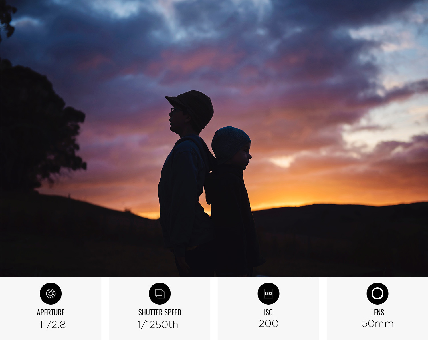 silhouettes header image.jpg