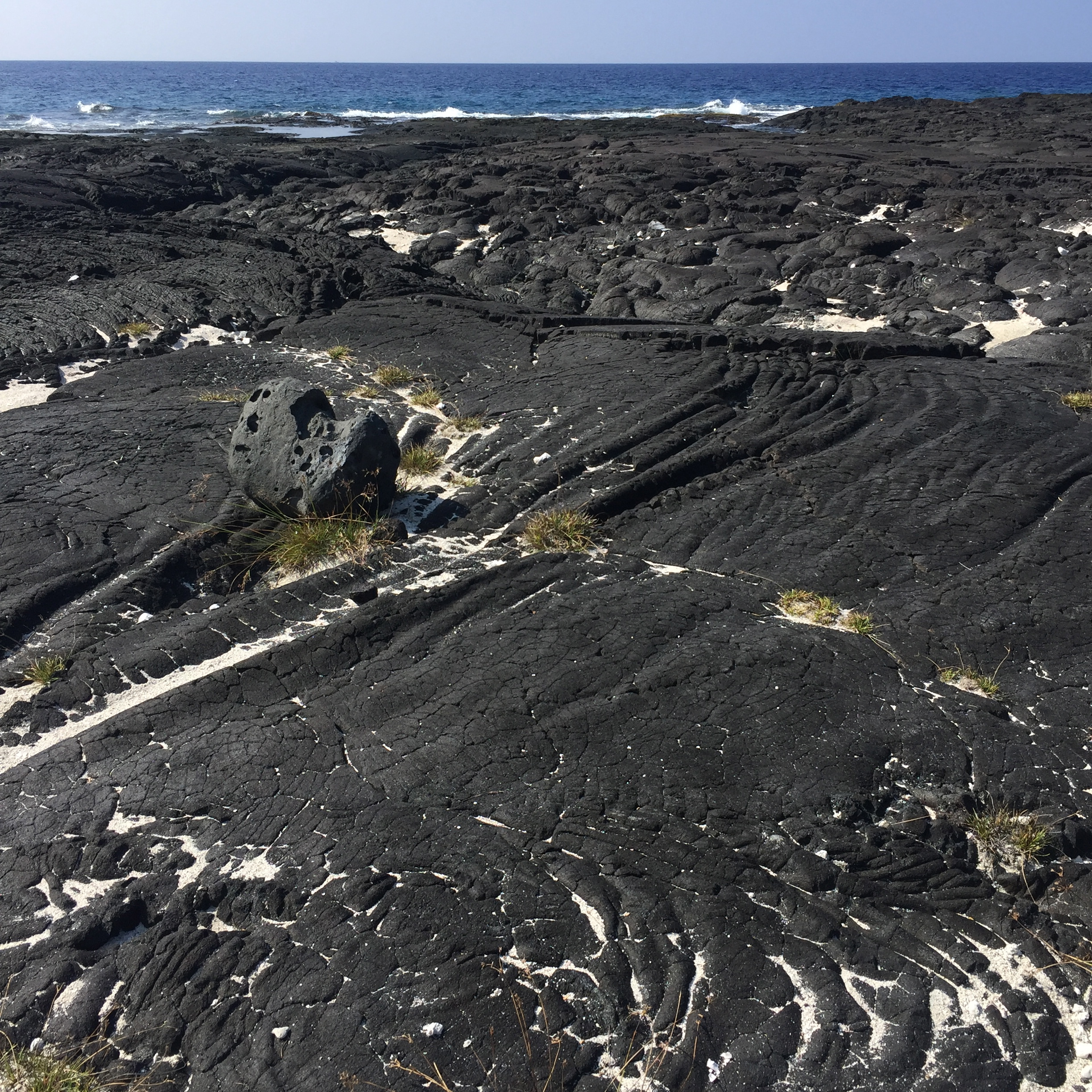 lava field.jpg