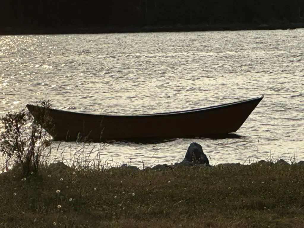 2B35053D-CA75-4F02-B30E-167760B13B64_1_105_c.jpeg