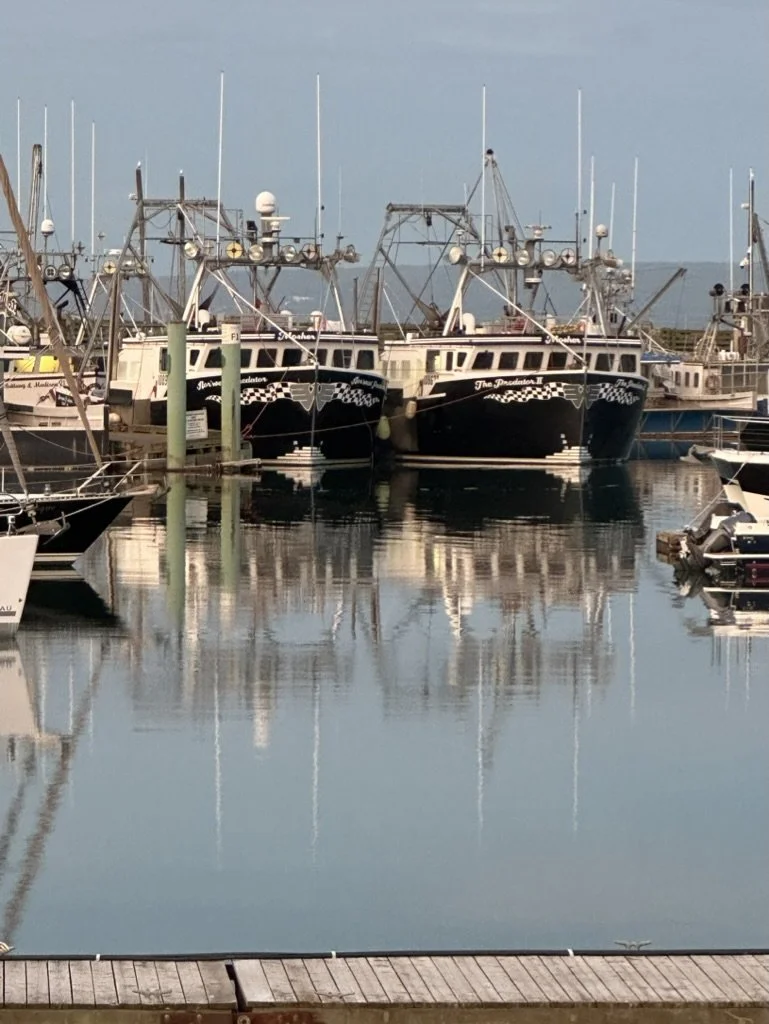 0E292934-B709-4795-8E18-48435CBF3B50_1_105_c.jpeg