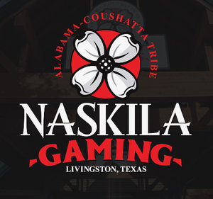 Naskila Gaming