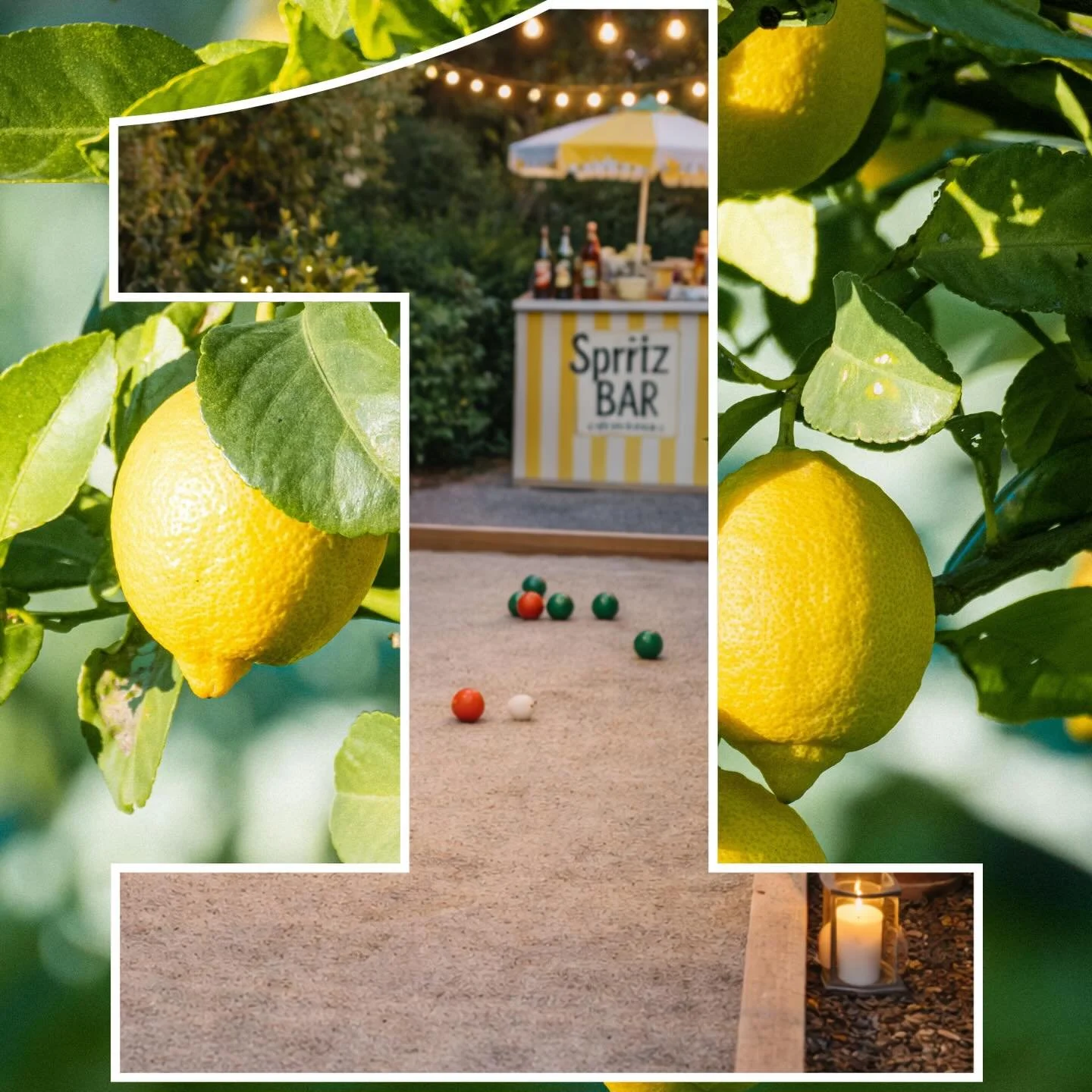 Get your Early Bird Tickets today and take advantage of a $20 savings on your Italian Garden Party for one more day. Join the over 125 people who have already purchased their tickets and be a part of this special evening. Reminder- Alumni 21+ can pur