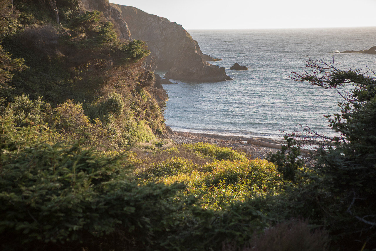  August 4-6, 2022   Mendocino Coast Writers’ Conference  