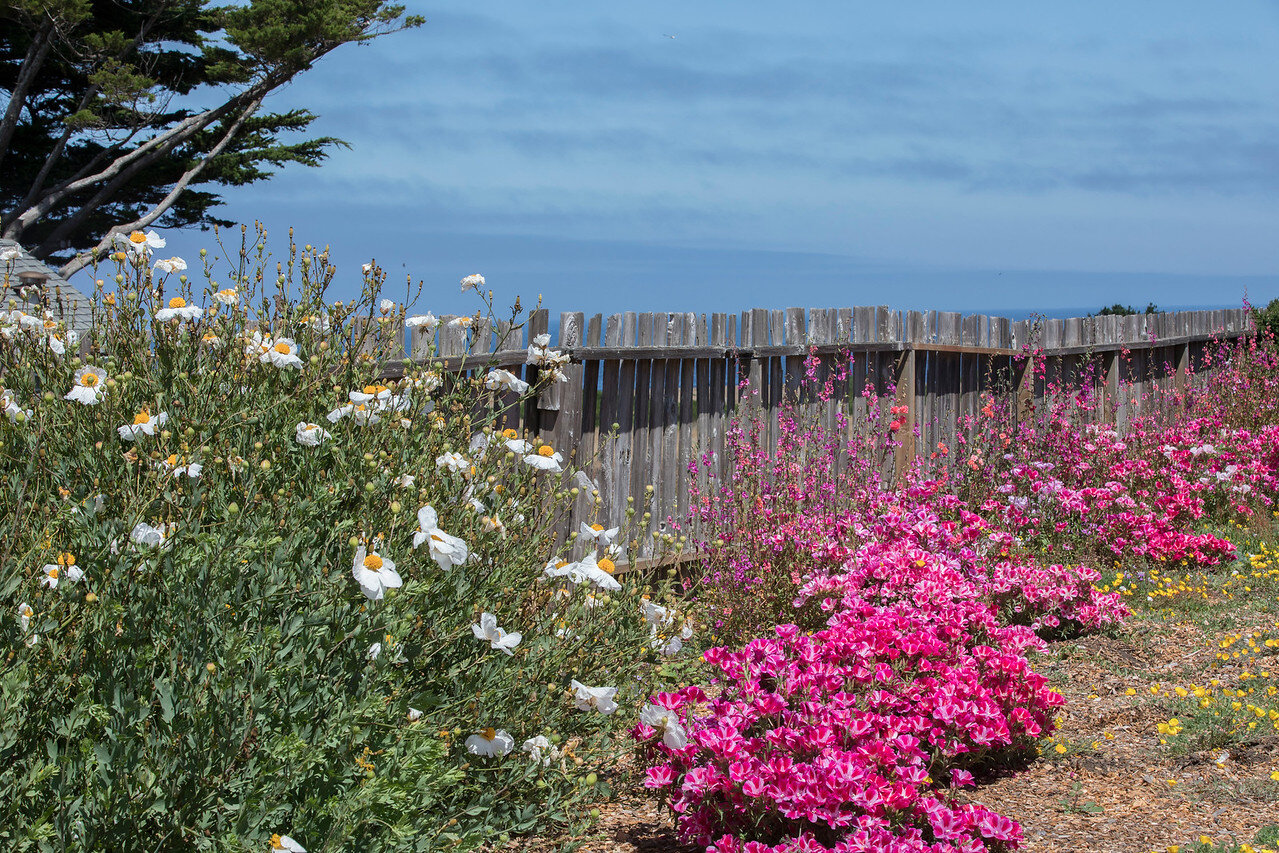  August 4-6, 2022   Mendocino Coast Writers’ Conference  