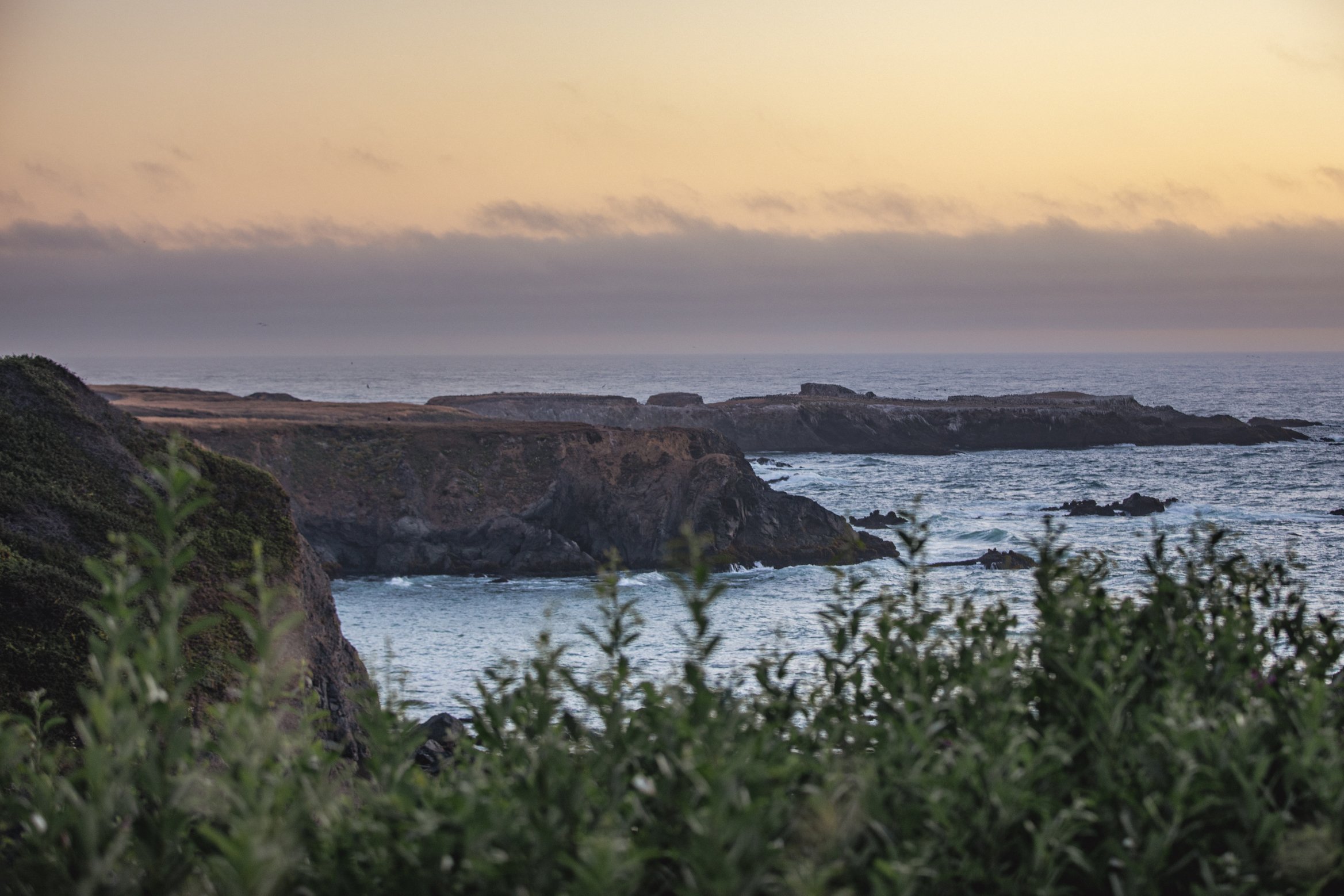  August 1-3, 2024   Mendocino Coast Writers’ Conference  