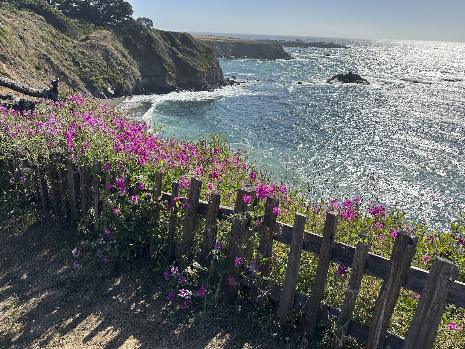  August 1-3, 2024   Mendocino Coast Writers’ Conference  