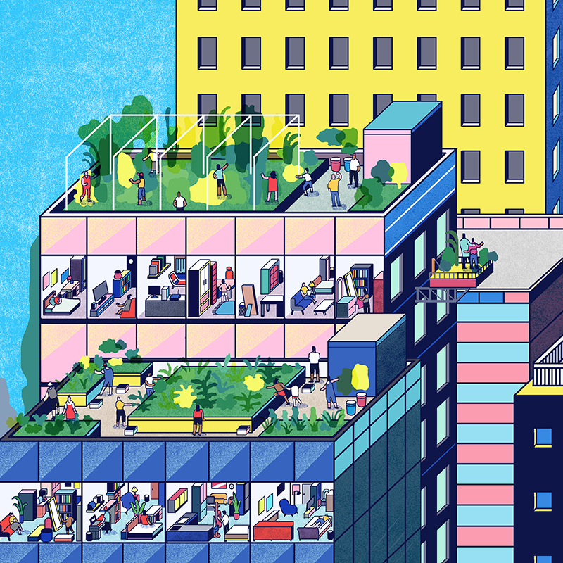 09shared garden on the loof.JPG