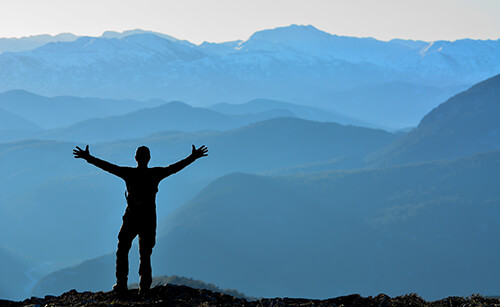 Goal_directed_mountain_opt.jpg