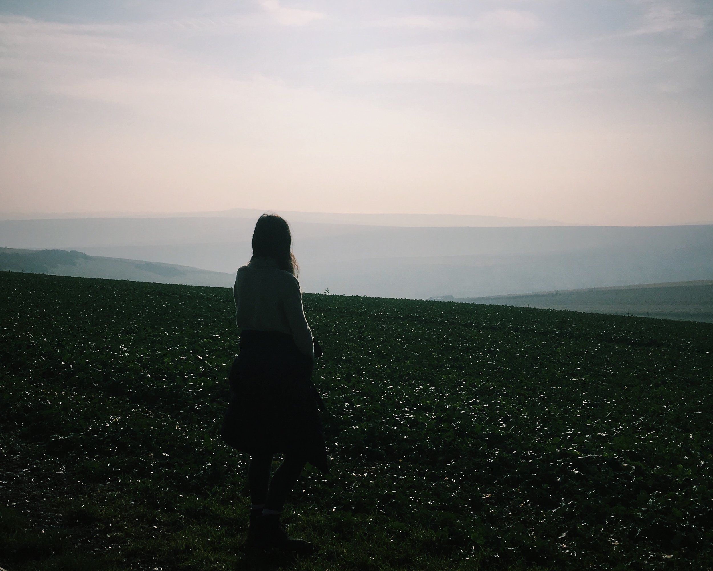 Overlooking the South Downs, East Sussex 