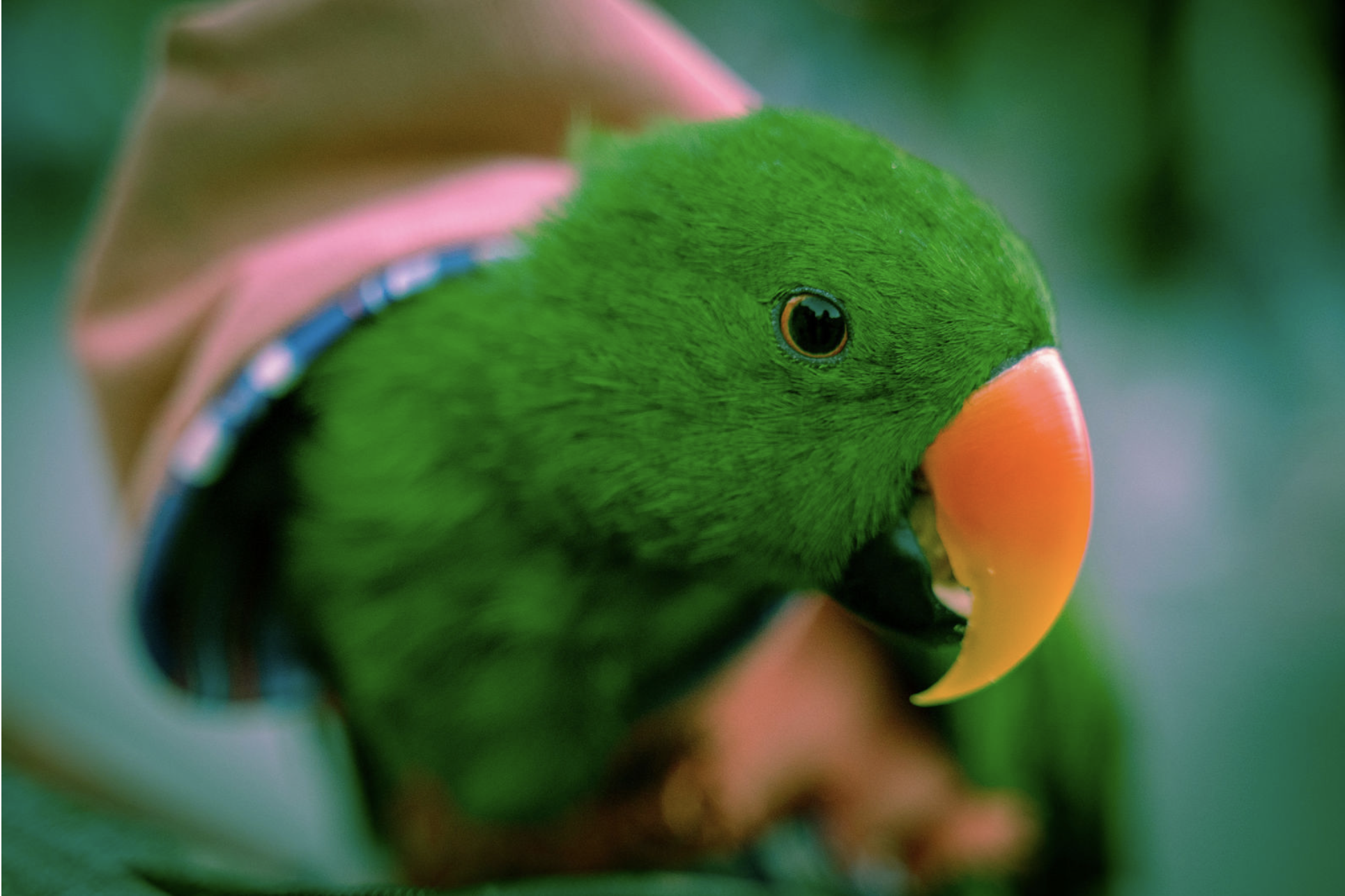NYC Salt students exhibit at The Metropolitan Museum of Art