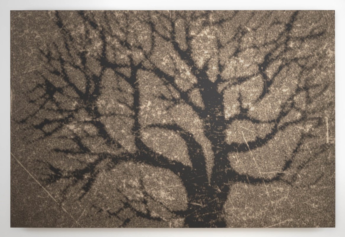 Steffani Jemison at Westfälischer Kunstverein