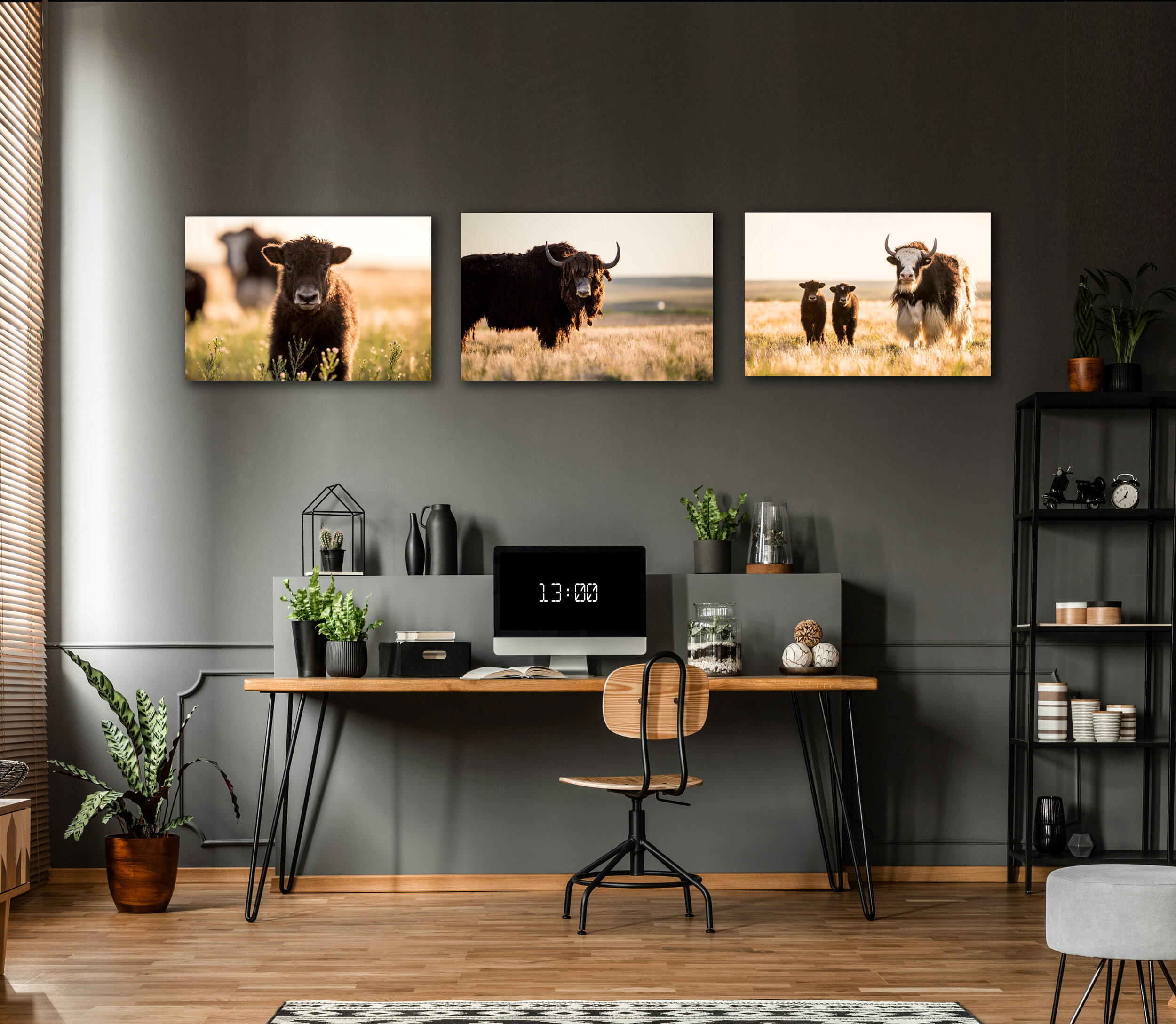 'Family' a 3 Canvas Grouping