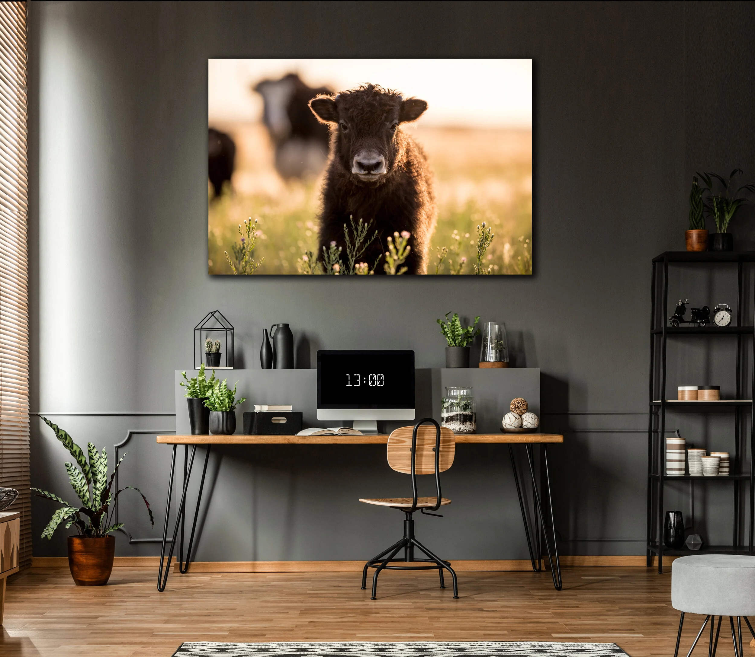 'SONNY BOY' GALLERY WRAP CANVAS