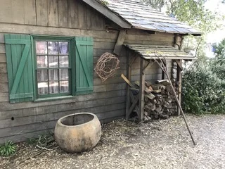 Photo Mar 28, 9 18 49 AM.jpeg