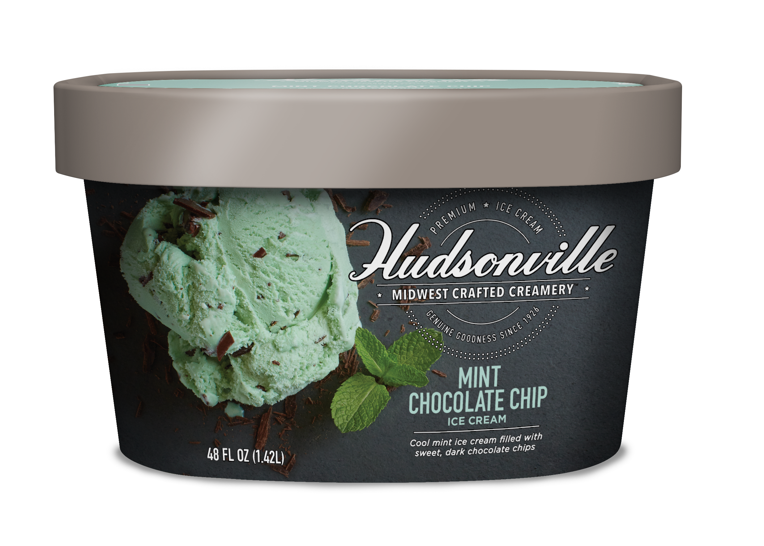 Hudsonville Ice Cream: Mint Chocolate Chip