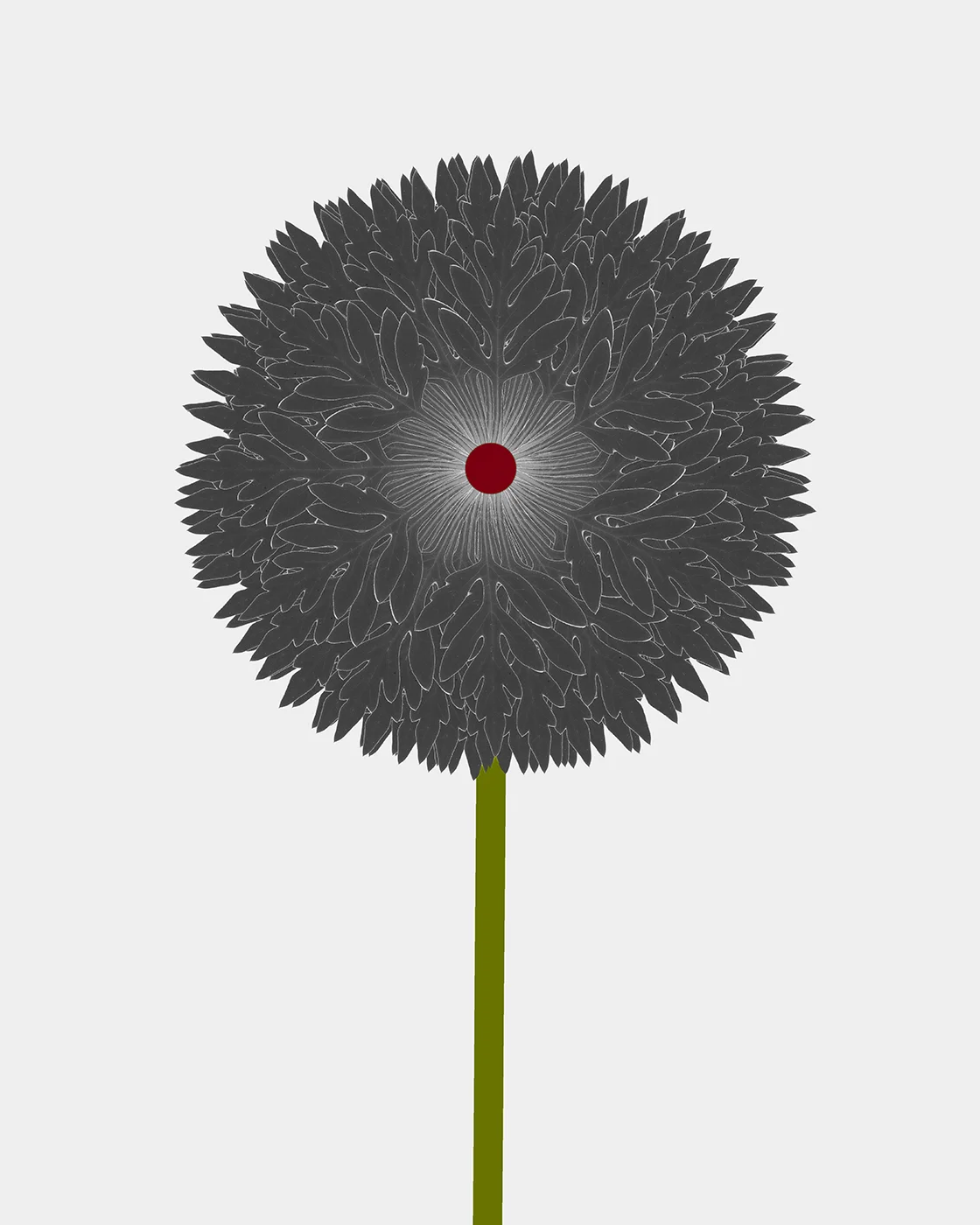 20%22 flower F .jpg