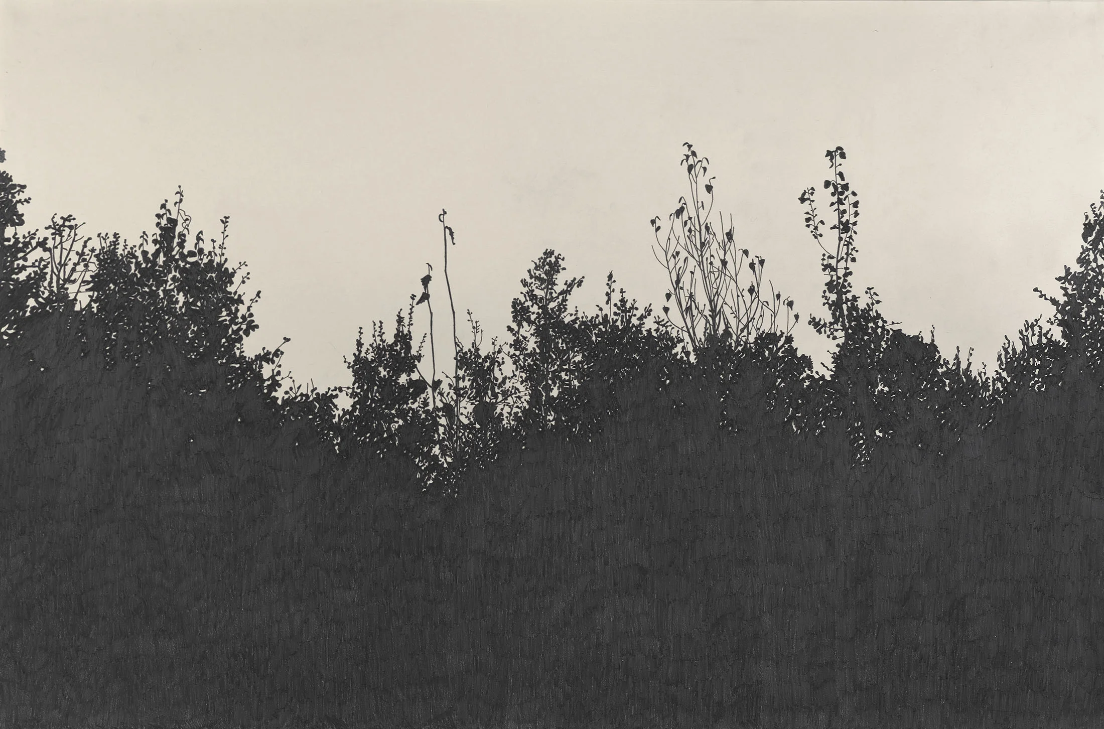 bird house field .jpg