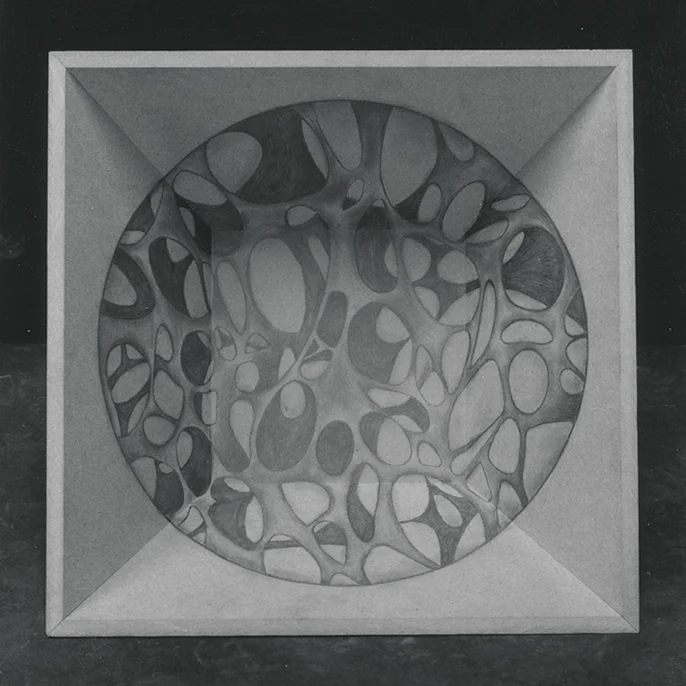 microscope SQUAre .jpg