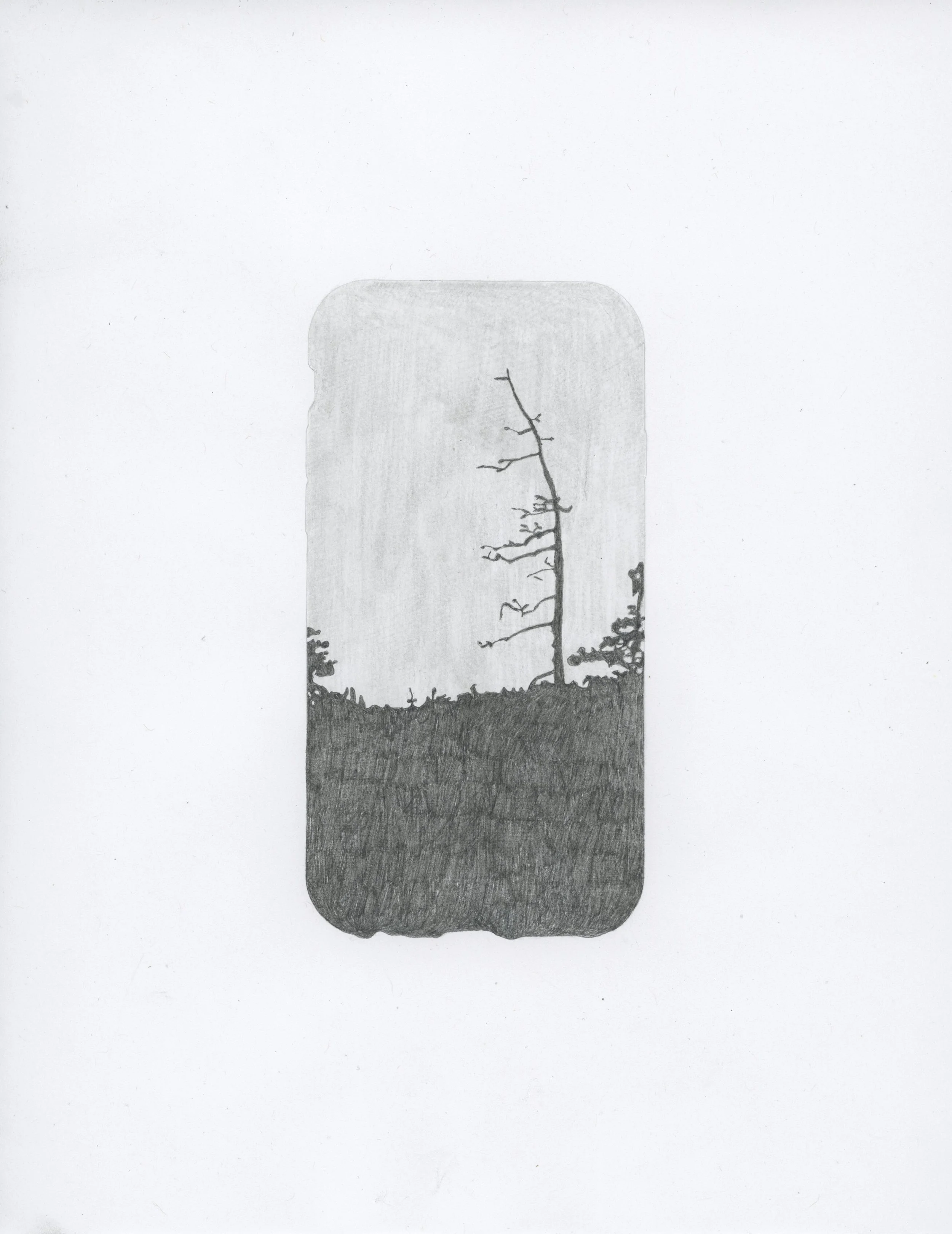iphone drawing 31001.jpg