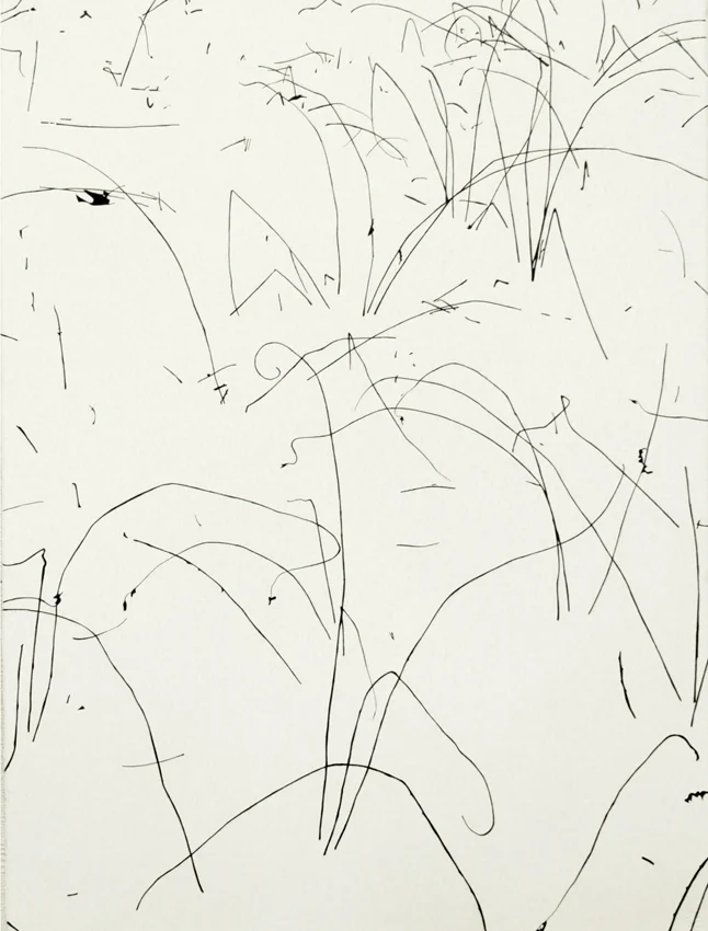 snow stalk #7.jpg