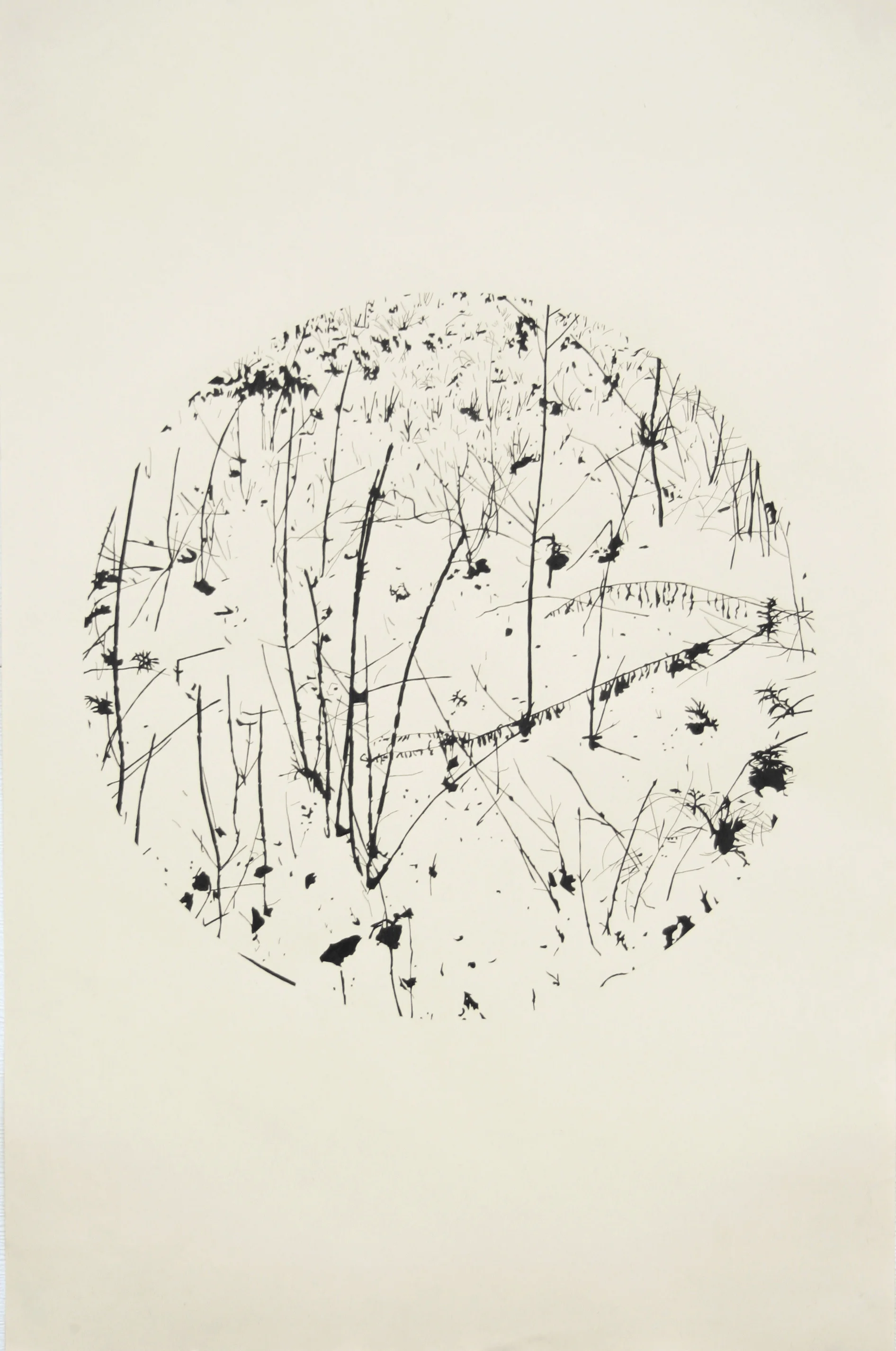 circle snow branches bramble copy.jpg