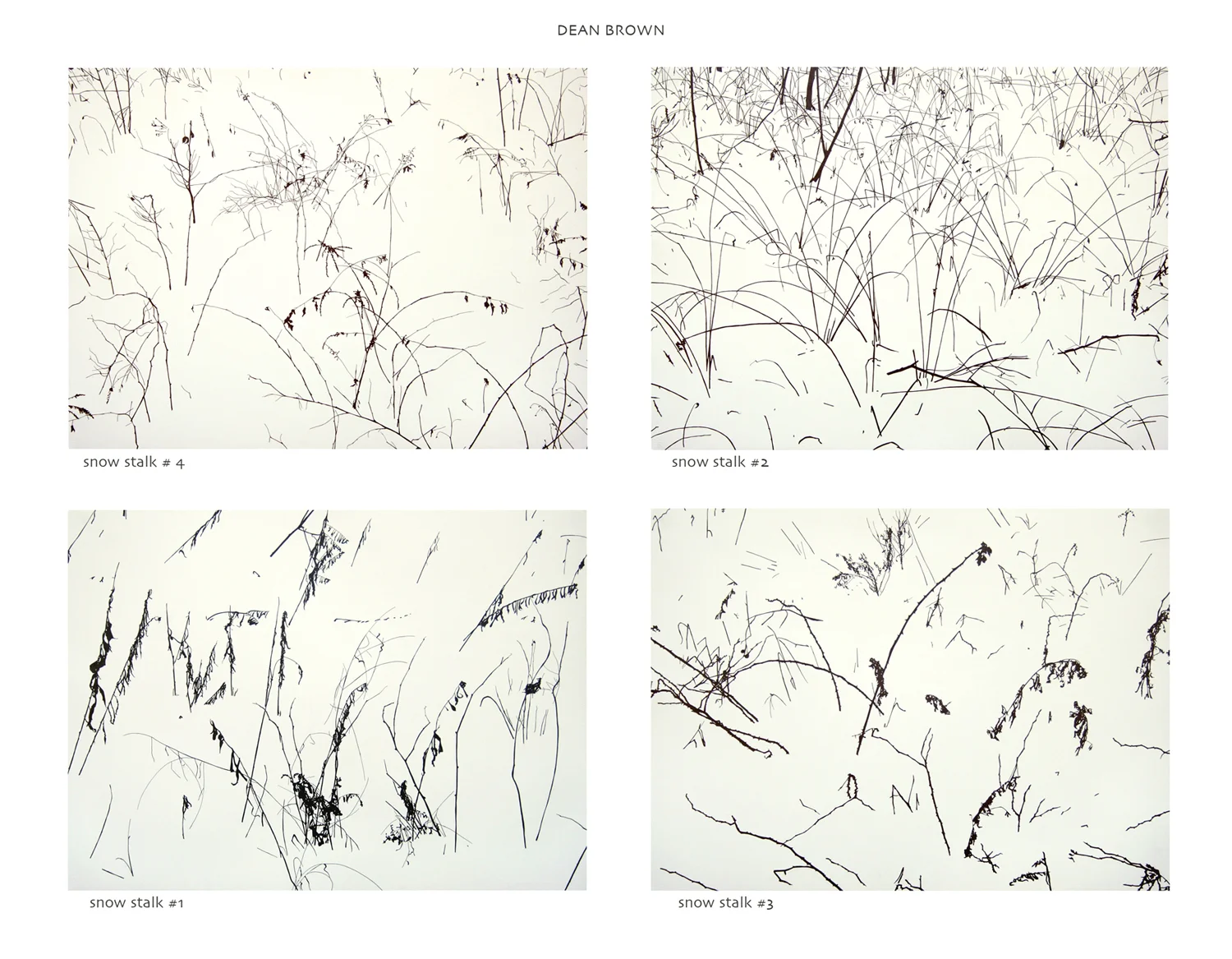 snow stalks 22%22x30%22 each.jpg