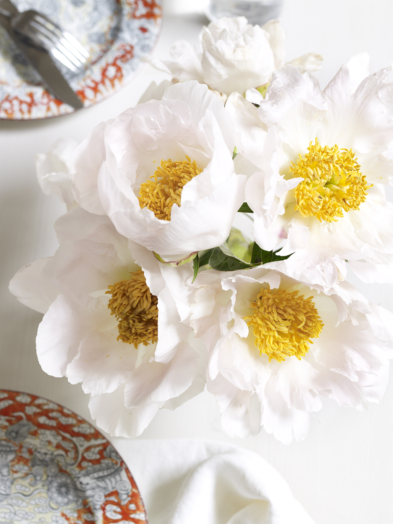 Peonies_PalePink_009.jpg