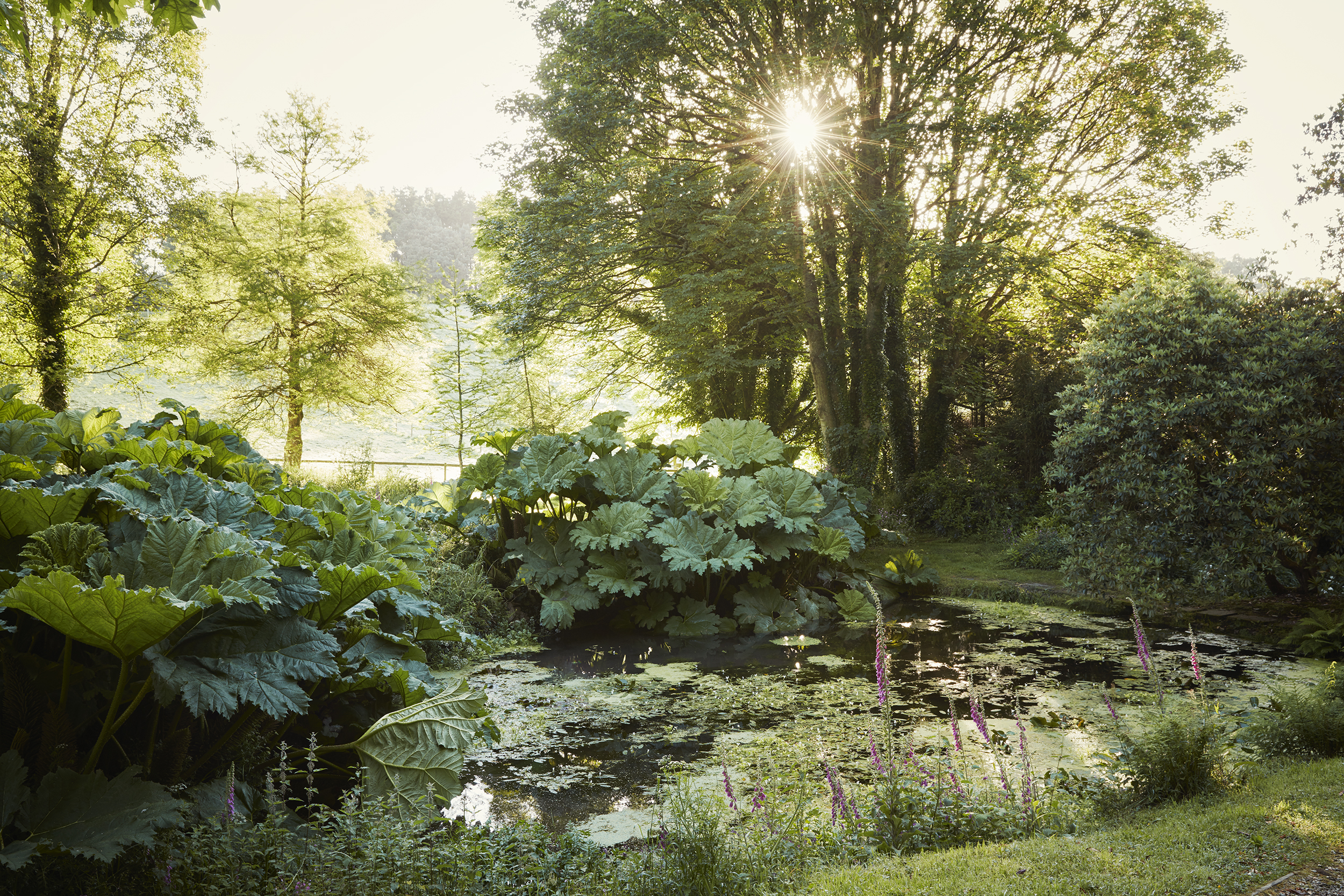 Mothecombe Garden, UK