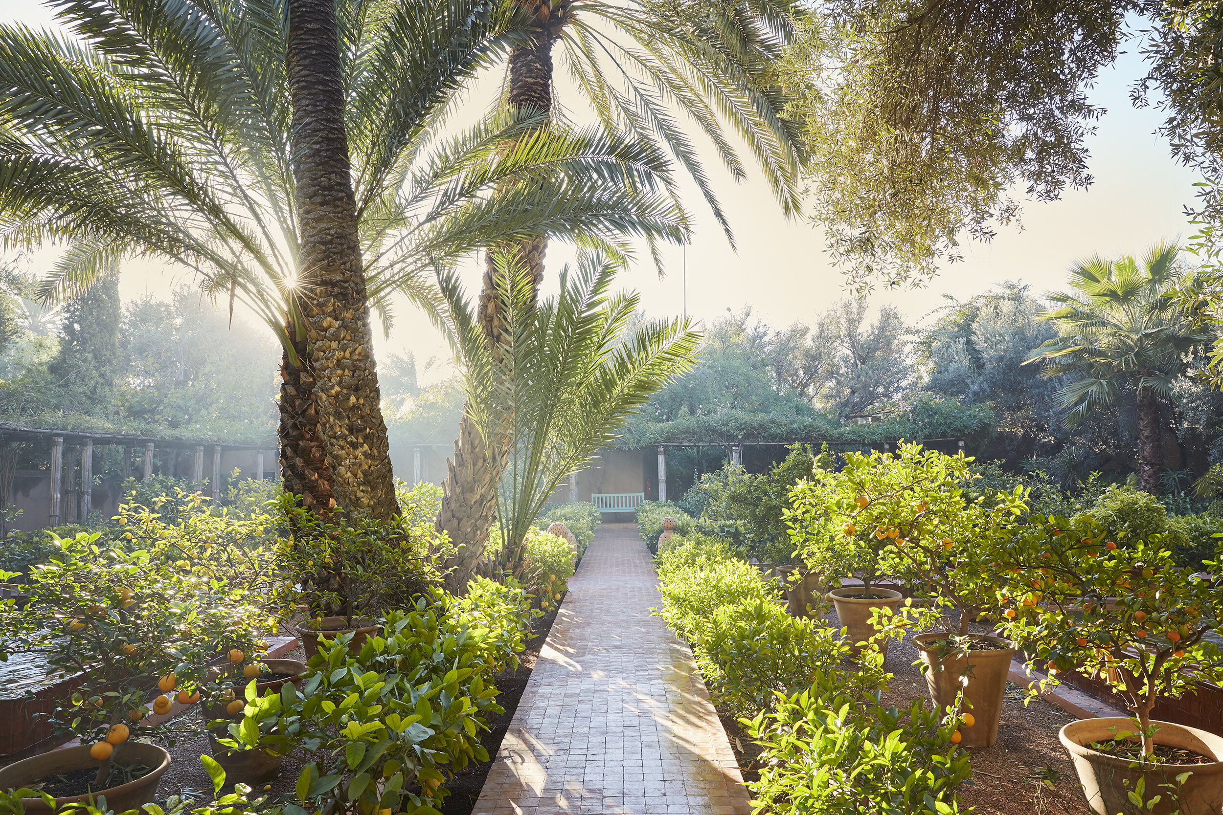 Villa Oasis, Marrakech