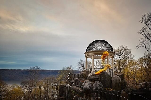 For the past week, volunteers have been harvesting thousands of daffodils at Untermeyer Garden to deliver to hospitals as gifts to healthcare workers. Today florist Sylvia Lukach did an installation of daffodils at the Temple of Love in honor of the 