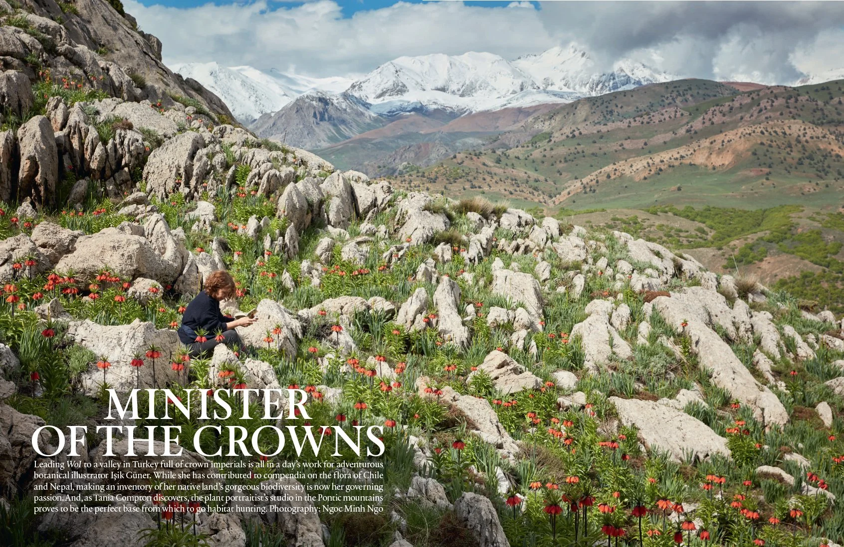 World of Interiors, July 2025.