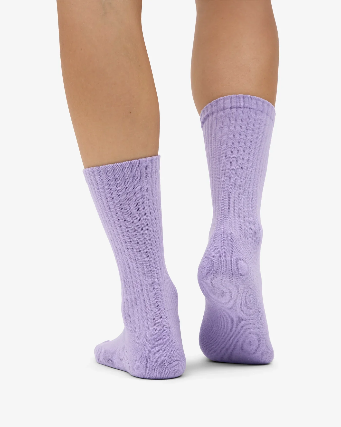 CS6005_Organic-Active-Sock-Soft-Lavender_Female_0135_2.heic.webp