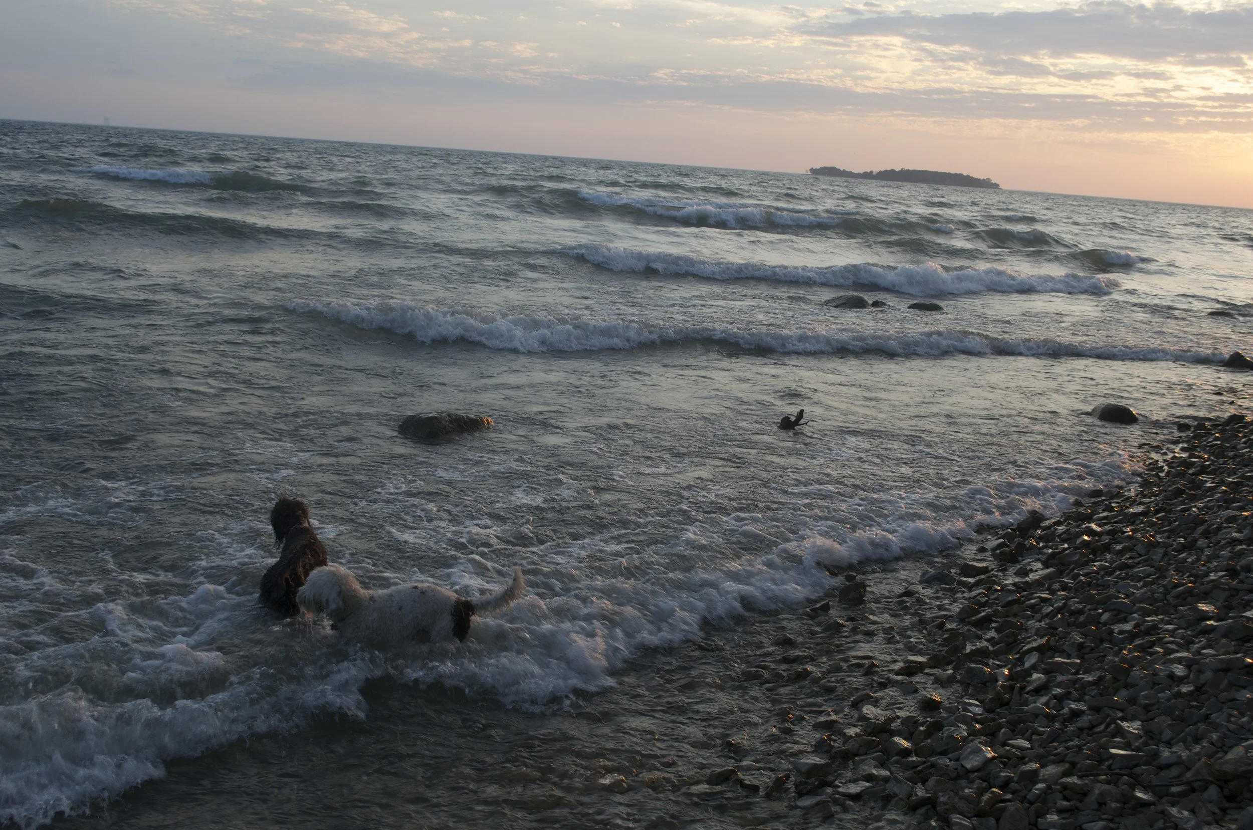 NaniLiliWading1.jpg
