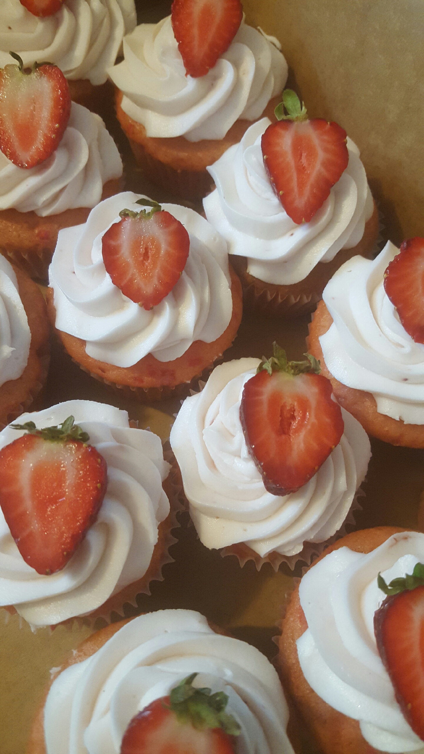 CupcakesWhtStrawb.jpeg