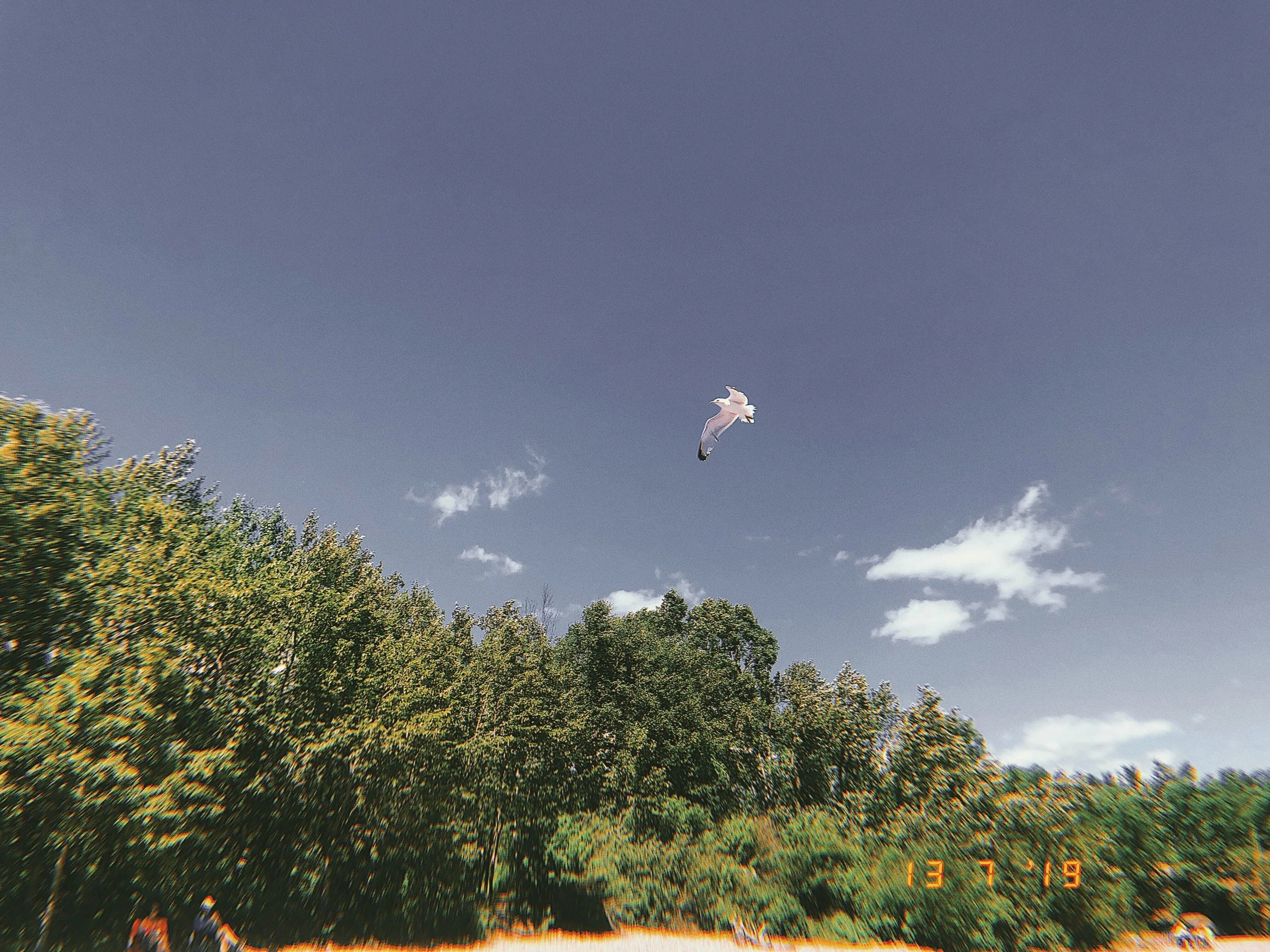 D1DE979E-5ED1-4923-94A2-656666011962.jpg