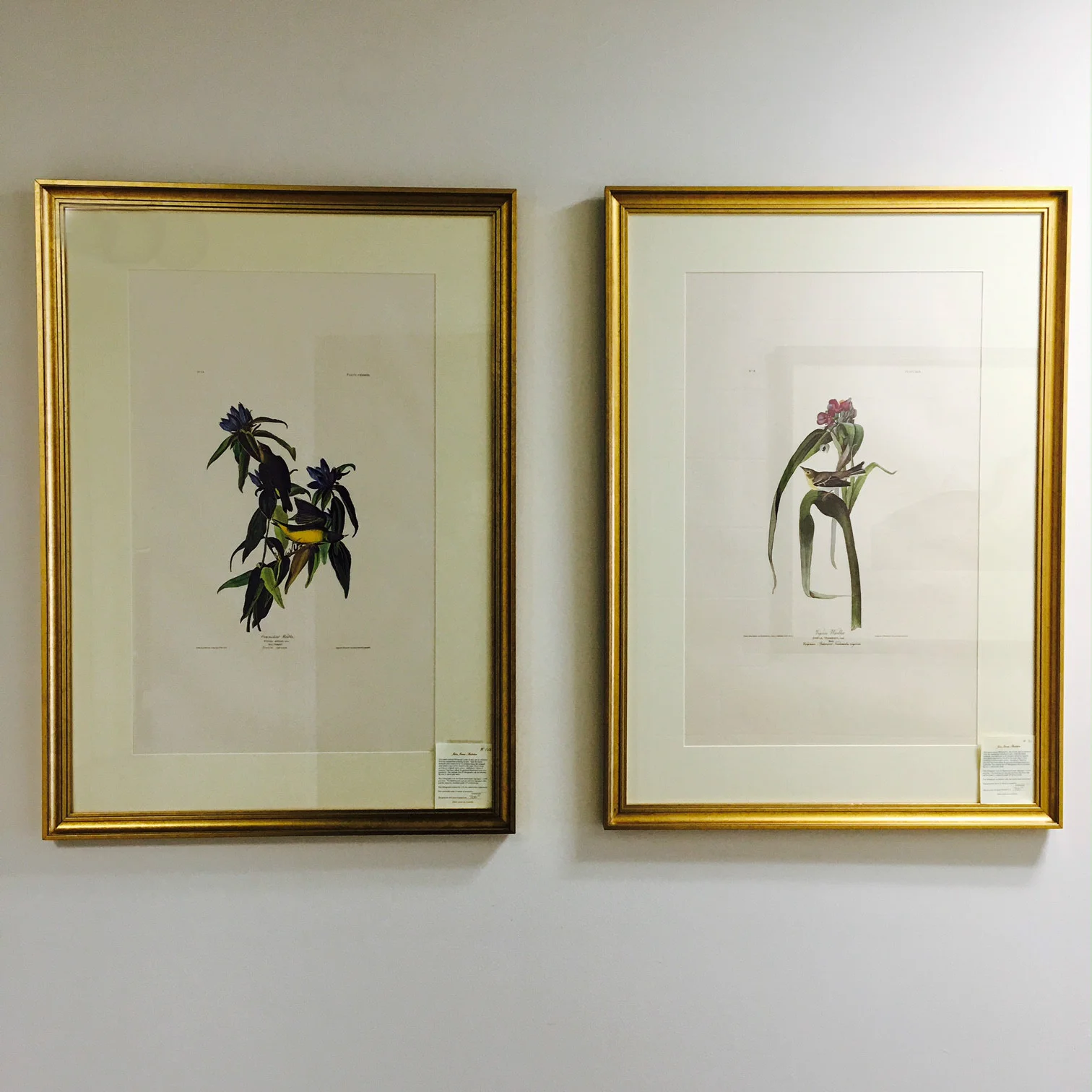 Hall Bickmann framing