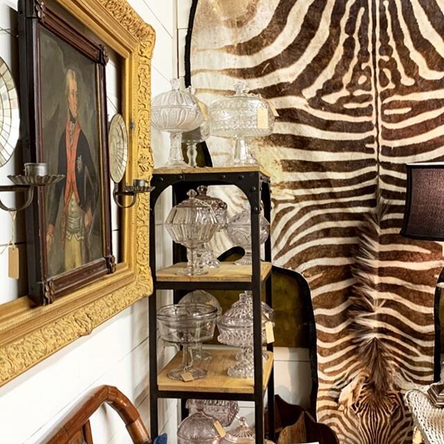 Our newest dealer, John Pope of Charleston, just filled his booth and it is completely full of interesting  pieces and a worldly, traveled vibe.  #honeypot #zebrarug #zebrahide #antiques #oilpainting #antiqueoil #traveller #worldy #eclecticdecor #gvl