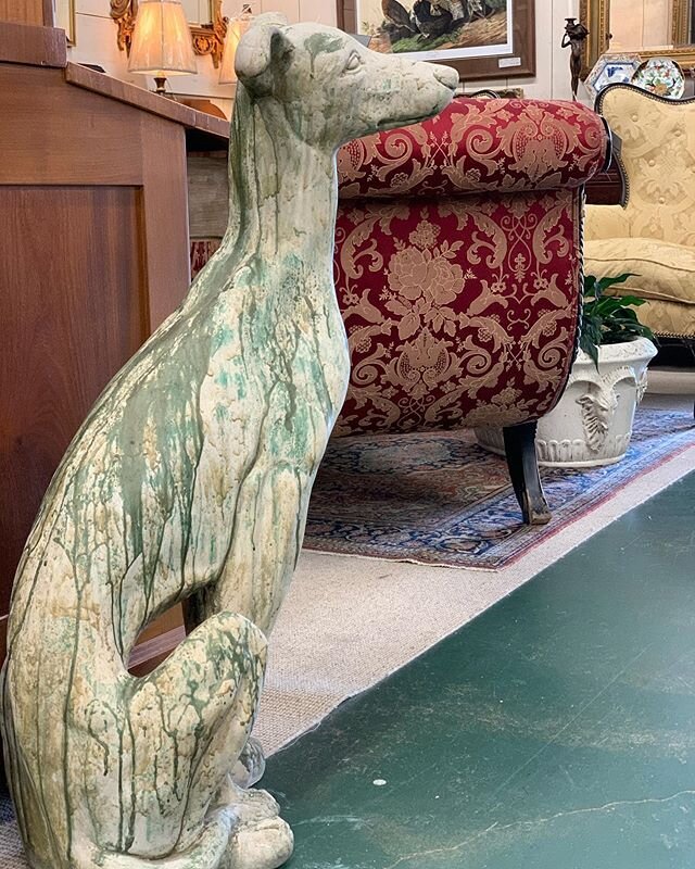 Meet the shop dogs... 35&rdquo; greyhound concrete dogs $395ea or $750 pair @tedwardantiques #therockhouseantiques #dogsofinstagram #greyhoundsofinstagram #greyhound #gardendecor #yardart #yeahthatgreenville #gvl #gvl #greyhound