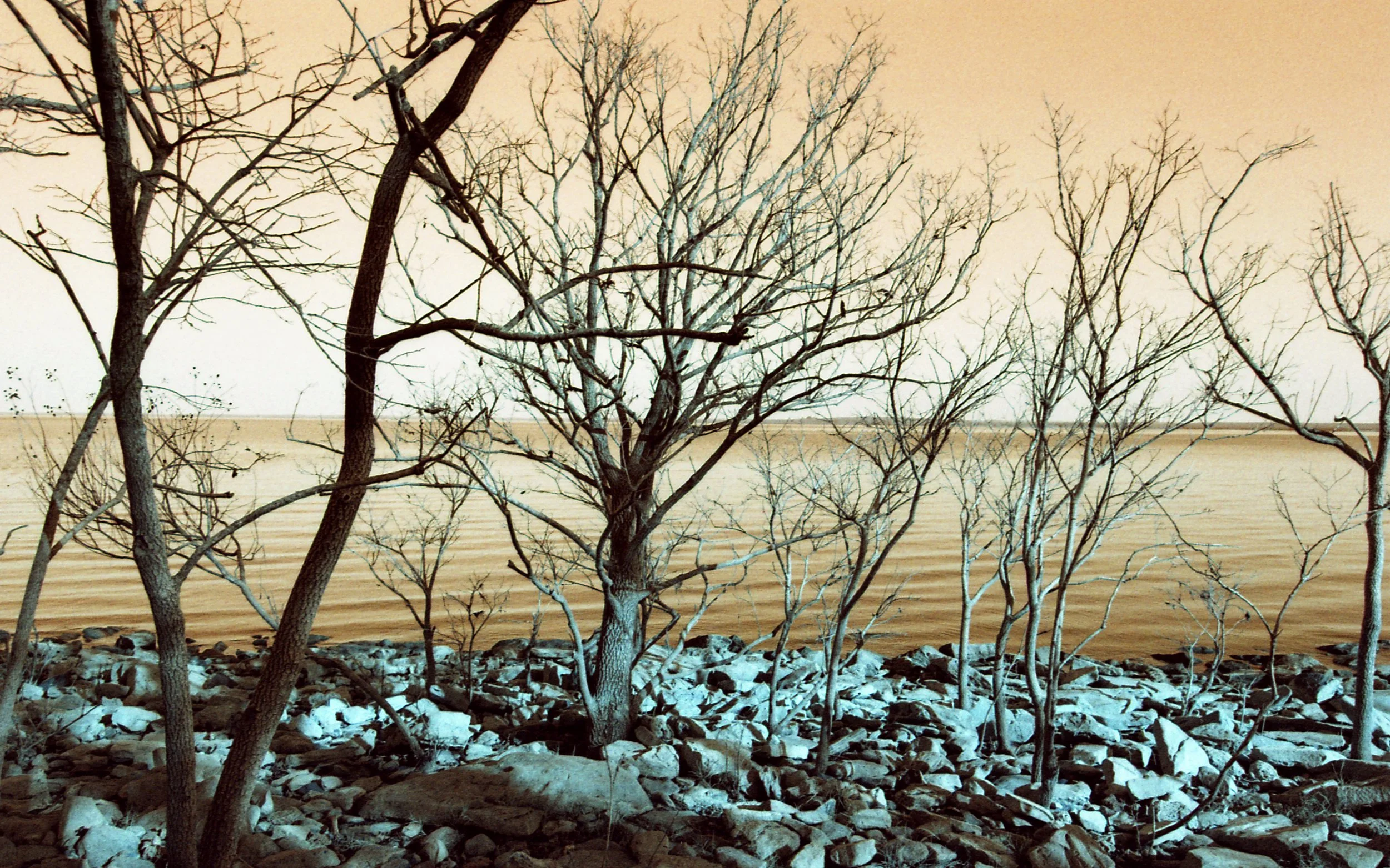 011325nf1lomoturq35mm0033.jpg