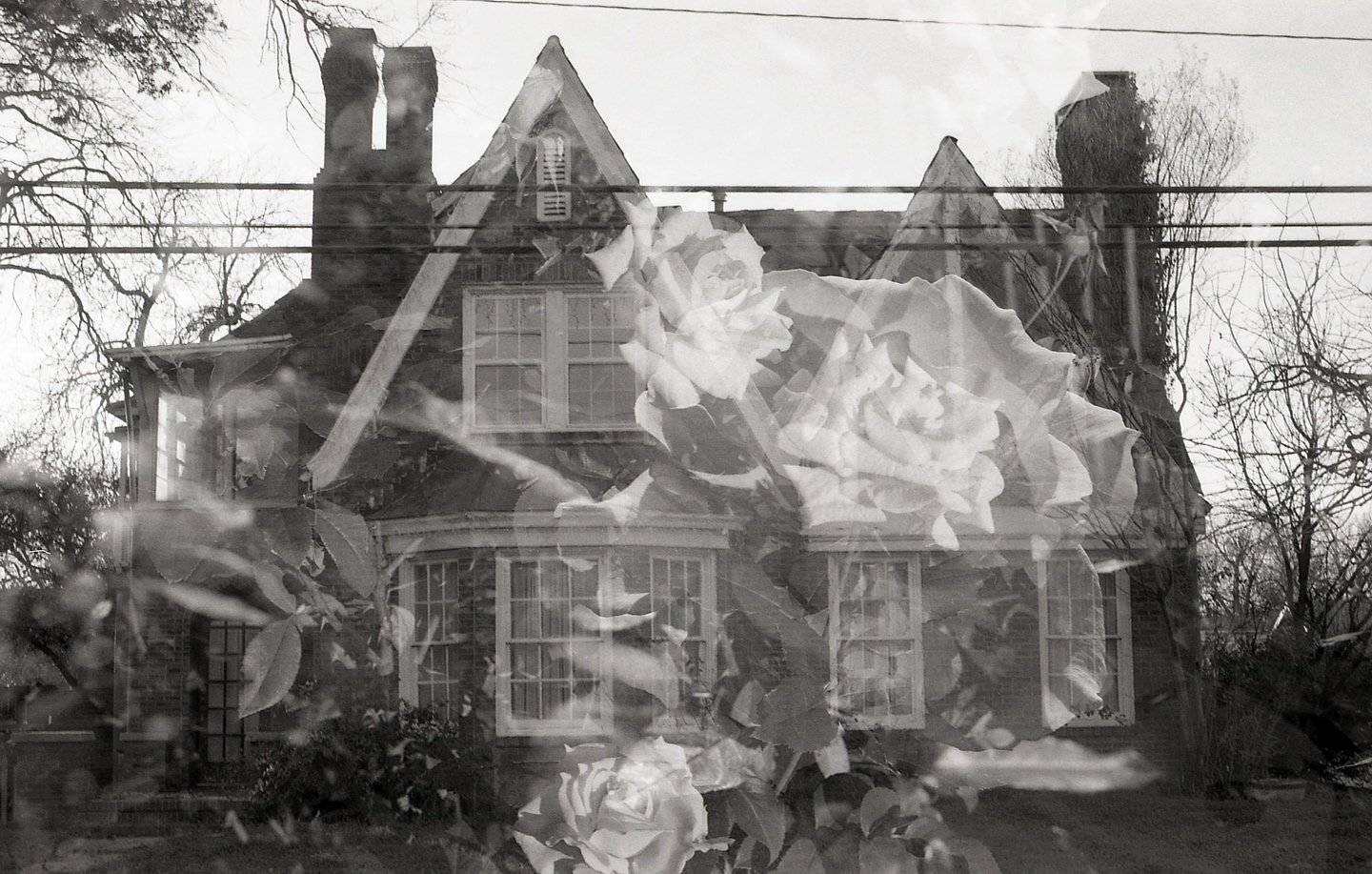 there in my winter
i became a wolf, hungry
for all that was lost.

nikon f100.
ilford hp5 plus. @ilfordphoto 
developed by @lonestardarkroom via @norman_roscoe drop off. 

#hp5plus #nikonf100 #35mmfilmphotography #doubleexposure #doubleexpomagazine #